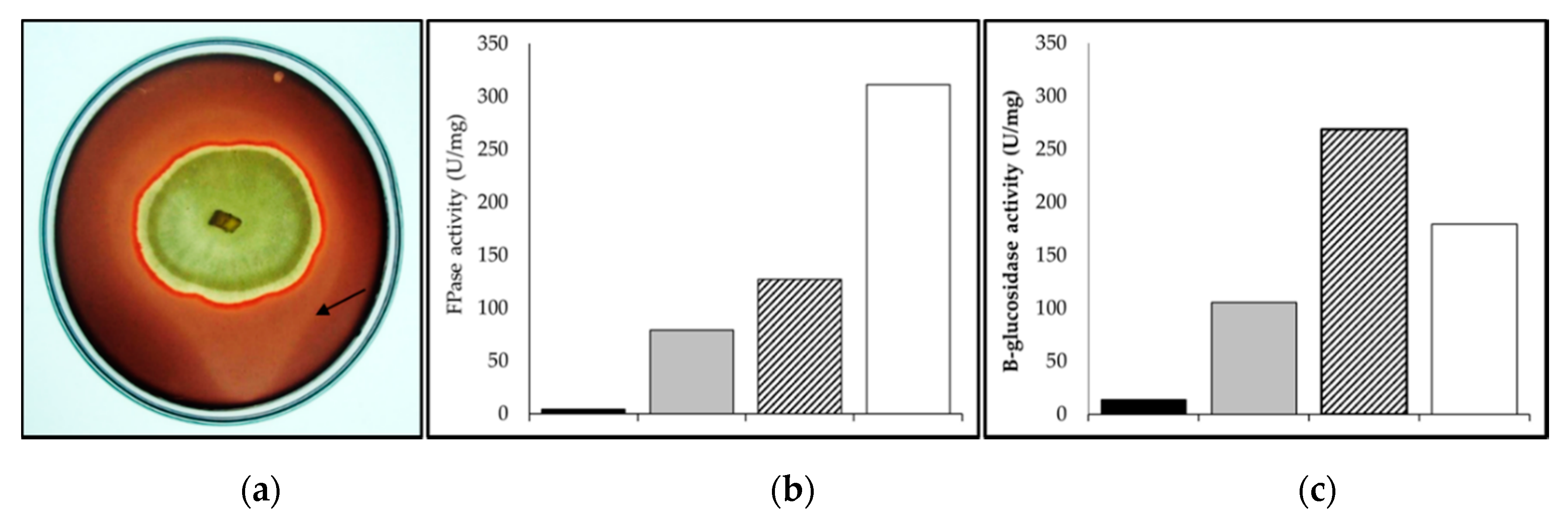 Applsci 09 04419 g004
