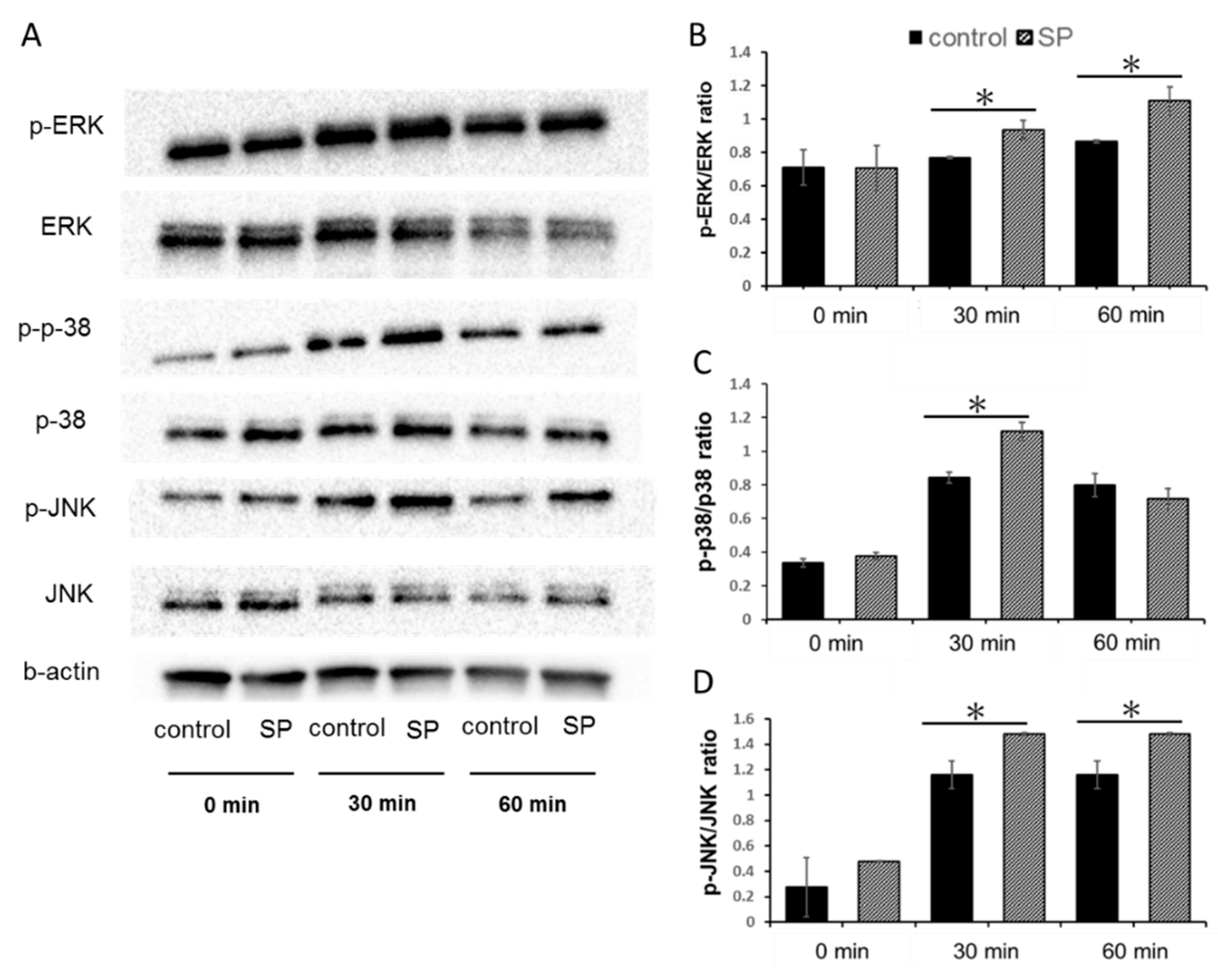 Applsci 09 04425 g005 Applsci 09 04425 g005