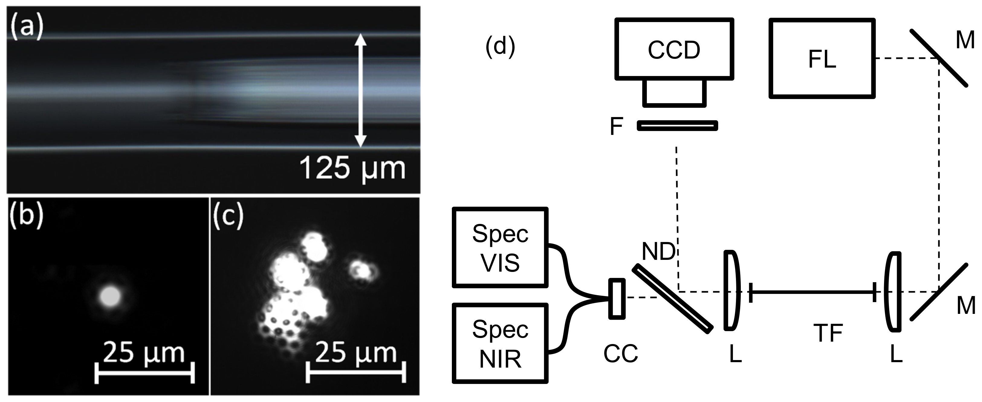 Applsci 09 04428 g002 Applsci 09 04428 g002