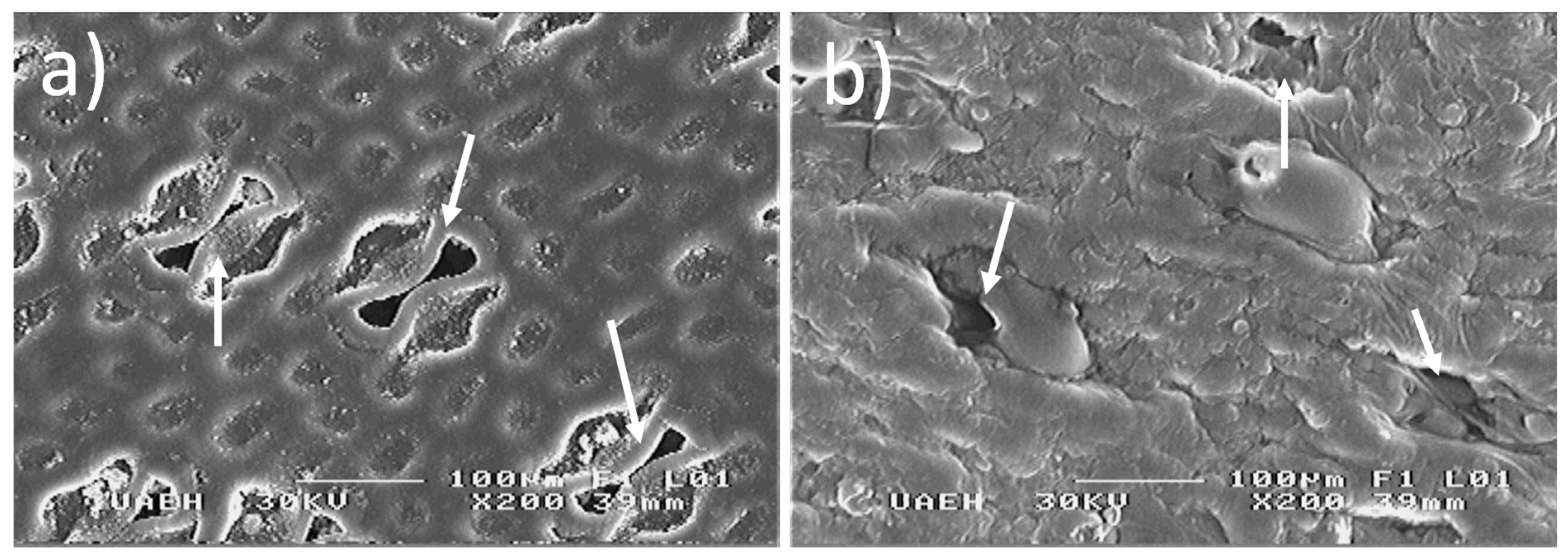 Applsci 09 04461 g004 Applsci 09 04461 g004