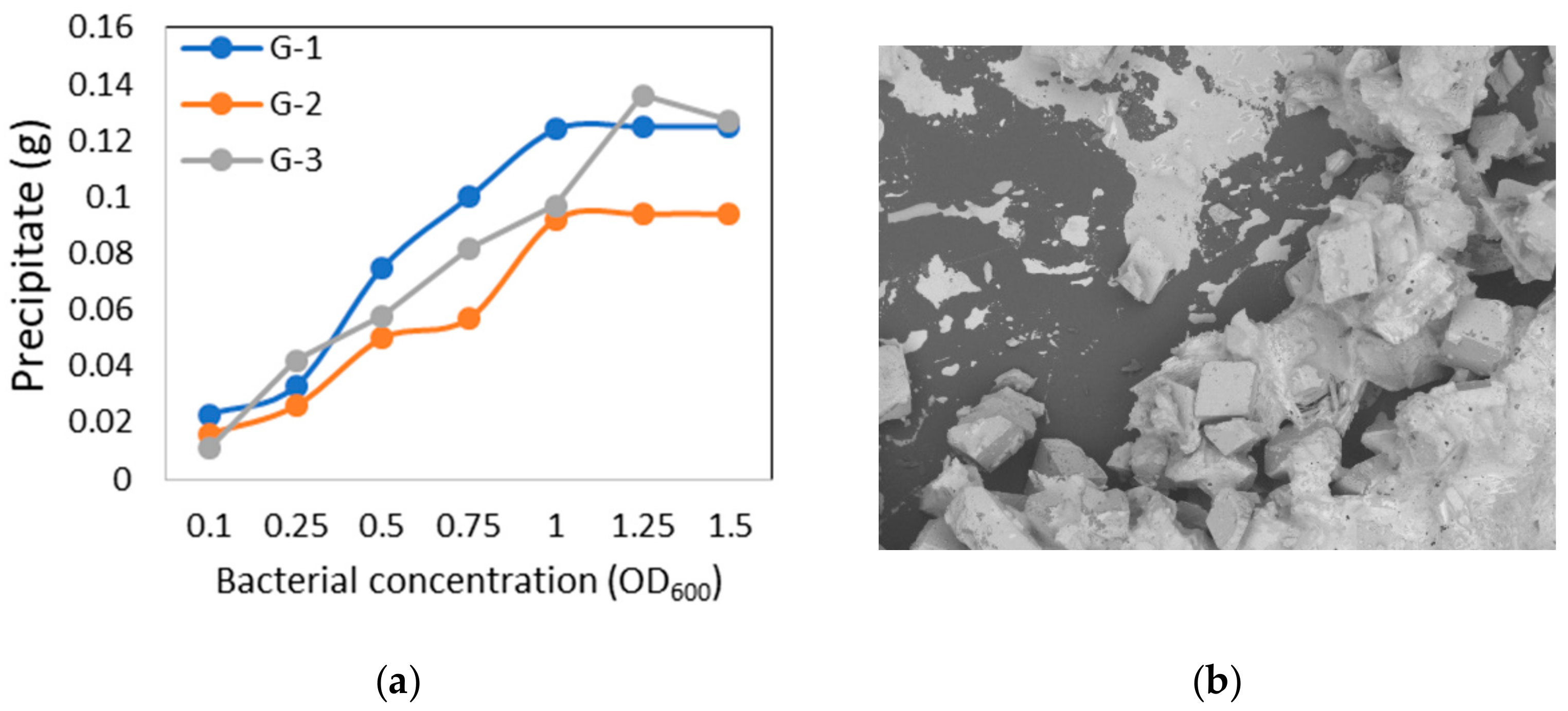 Applsci 09 04462 g007 Applsci 09 04462 g007