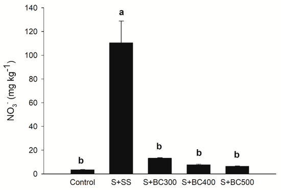 Applied Sciences Free Full Text Carbon Mineralization In A Soil Amended With Sewage Sludge Derived Biochar Html