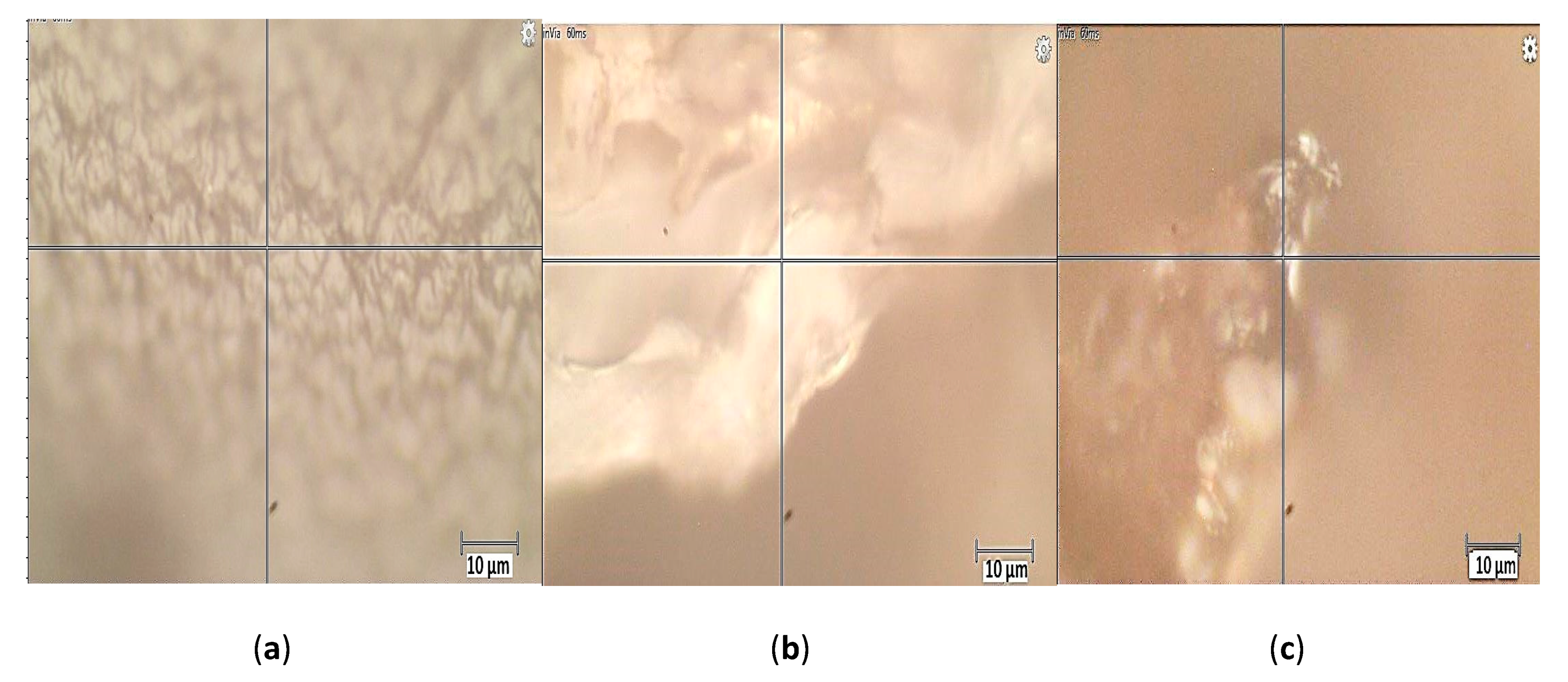 Applsci 09 04531 g002 Applsci 09 04531 g002