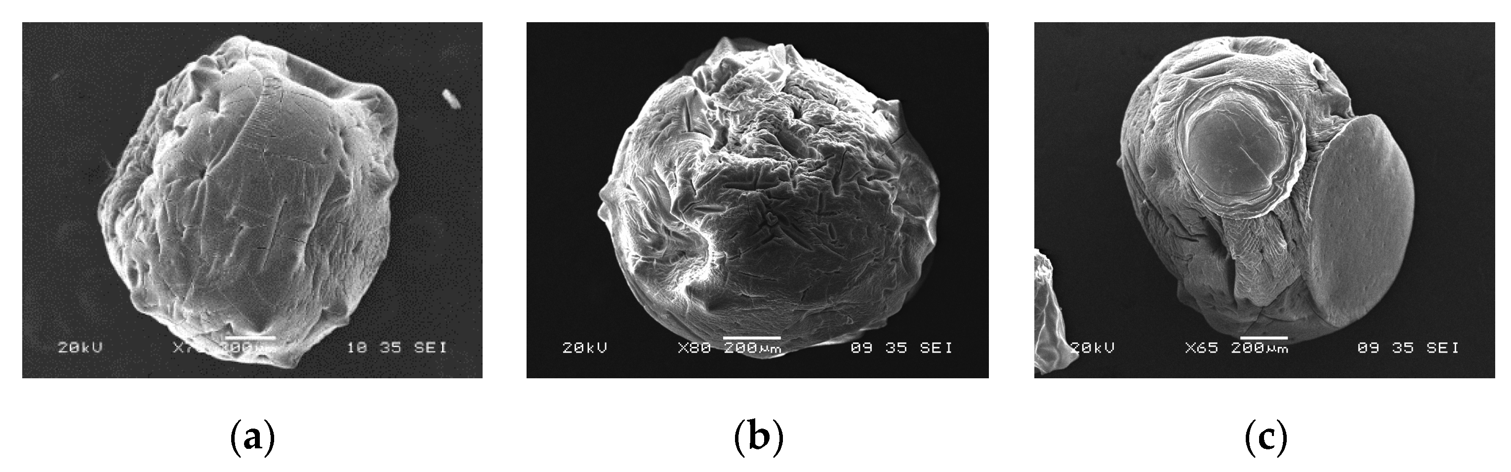 Applsci 09 04531 g005 Applsci 09 04531 g005