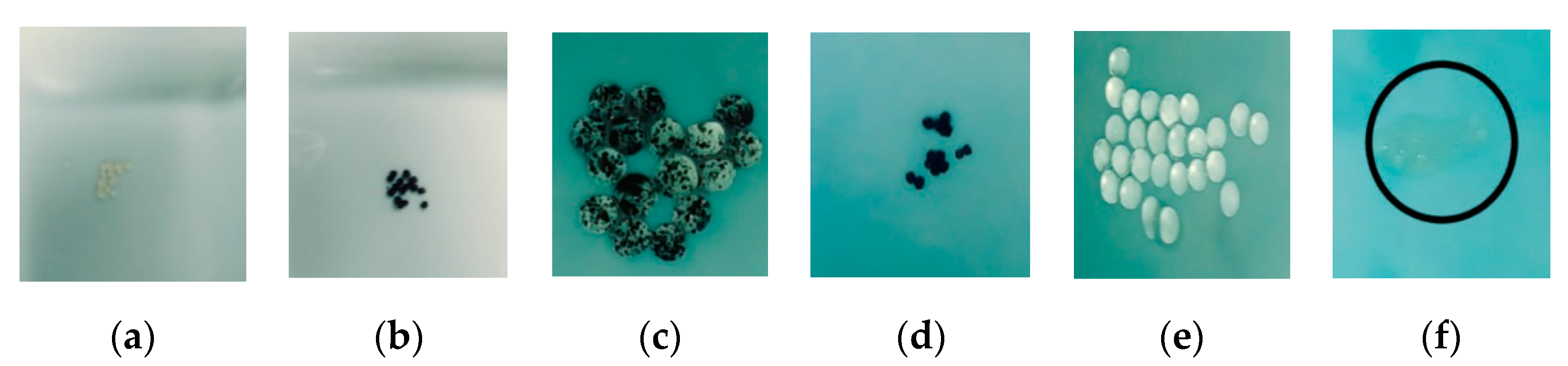 Applsci 09 04531 g014 Applsci 09 04531 g014