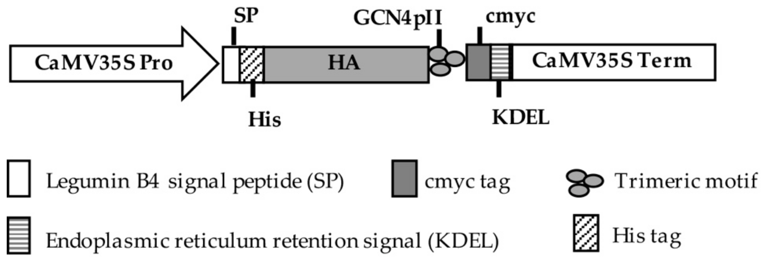 Applsci 09 04605 g002 Applsci 09 04605 g002