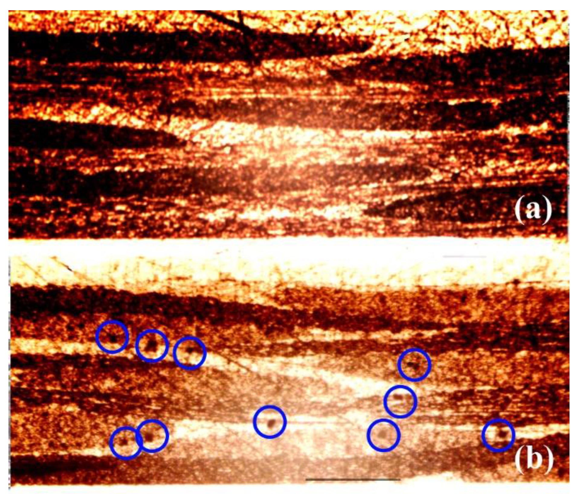 Applsci 09 04615 g002