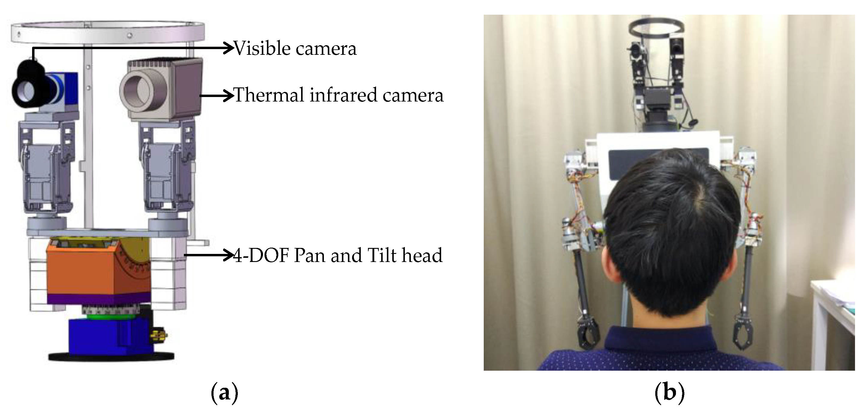 Applsci 09 04623 g006 Applsci 09 04623 g006