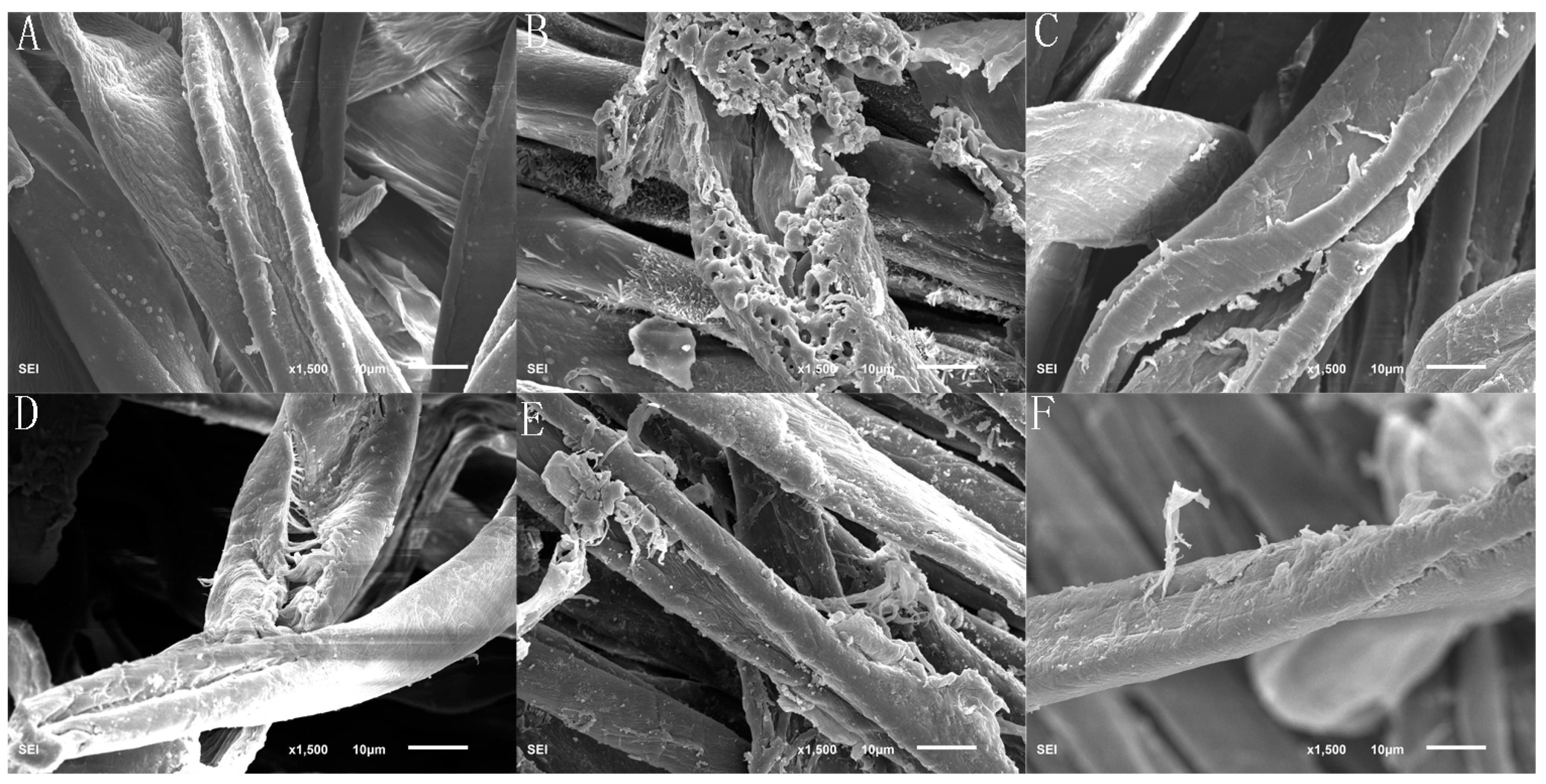 Applsci 09 04662 g007