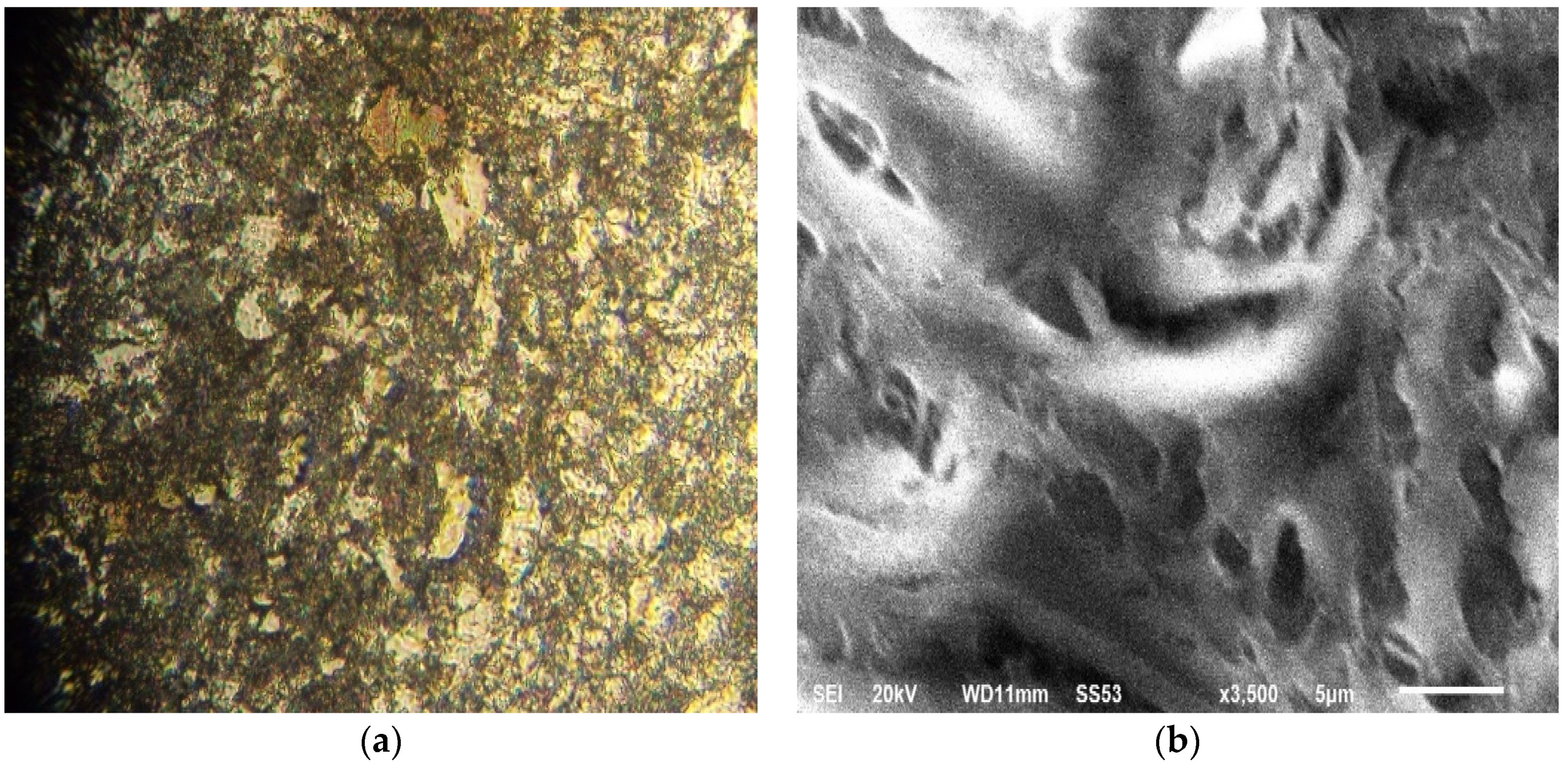 Applsci 09 04684 g001