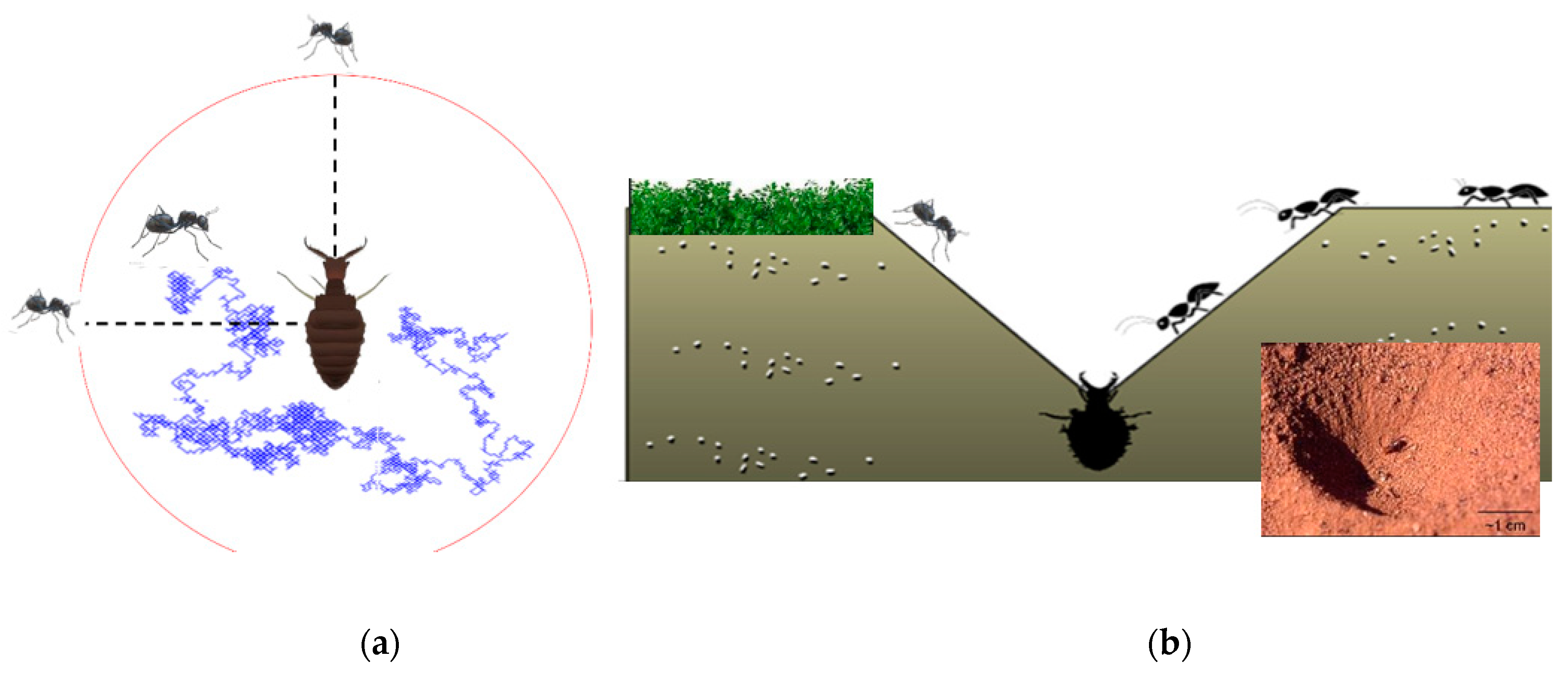 Applsci 09 04738 g003 Applsci 09 04738 g003