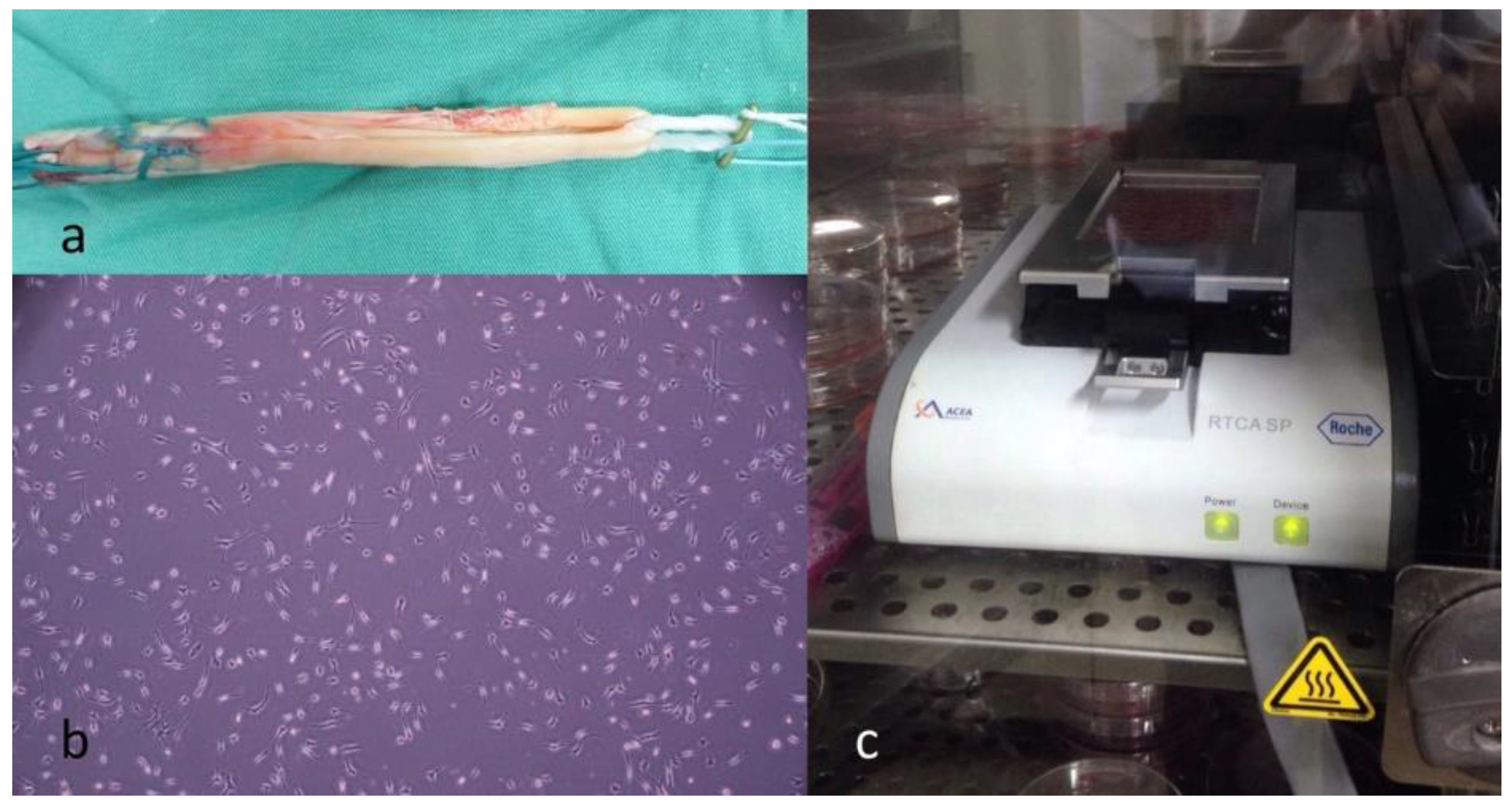 Applsci 09 04765 g001