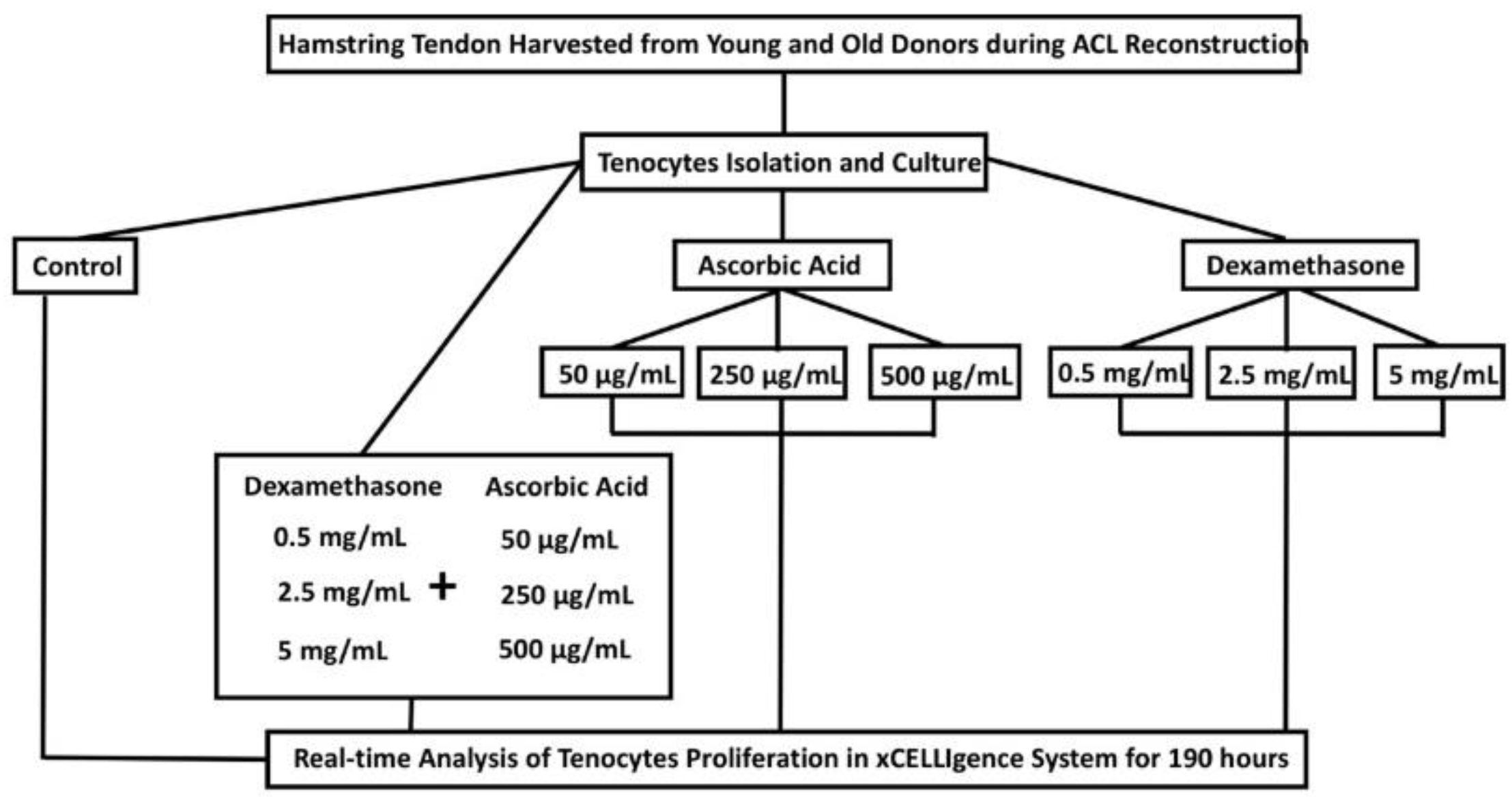 Applsci 09 04765 g002
