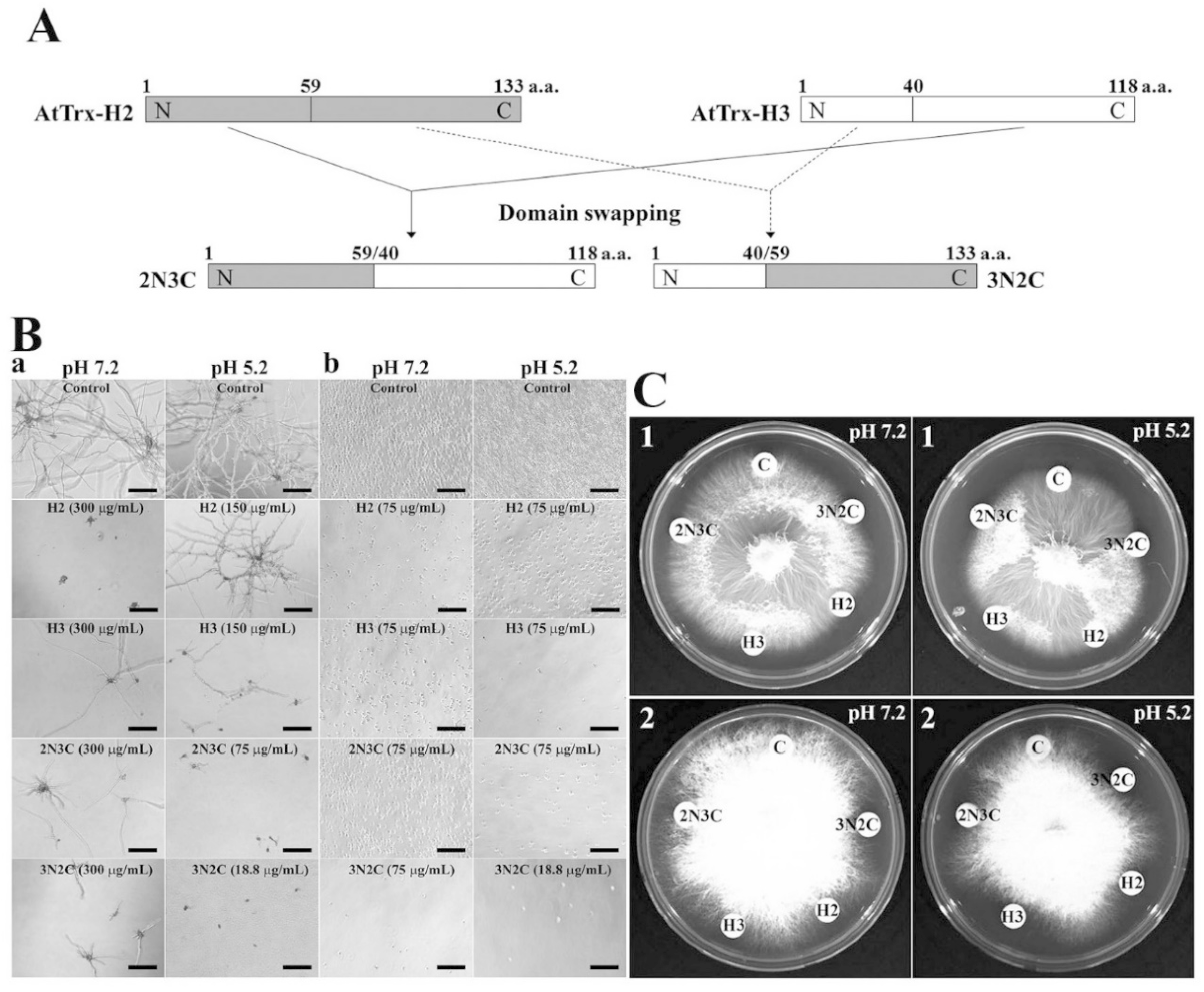 Applsci 09 04766 g001 Applsci 09 04766 g001