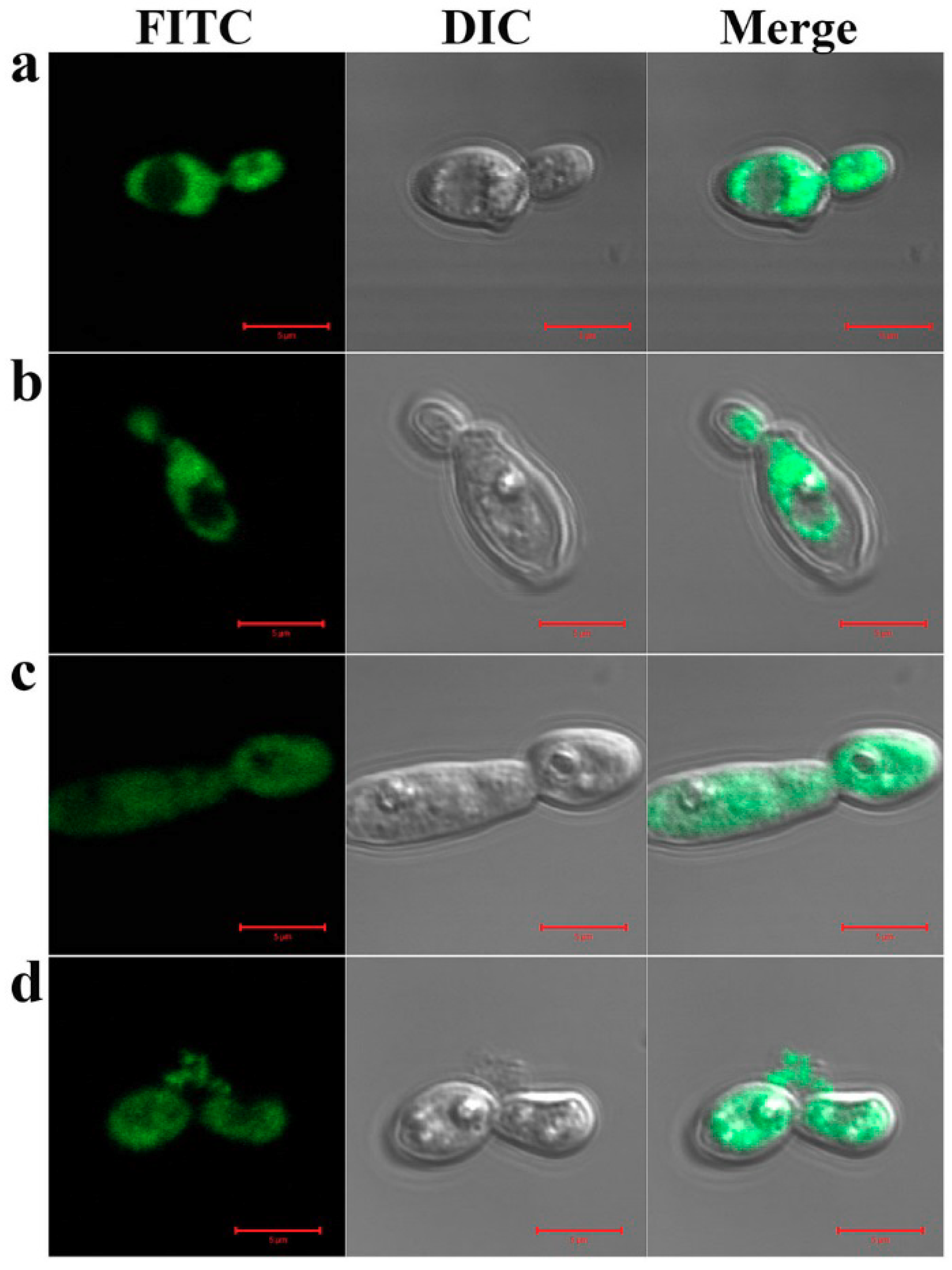 Applsci 09 04766 g002 Applsci 09 04766 g002