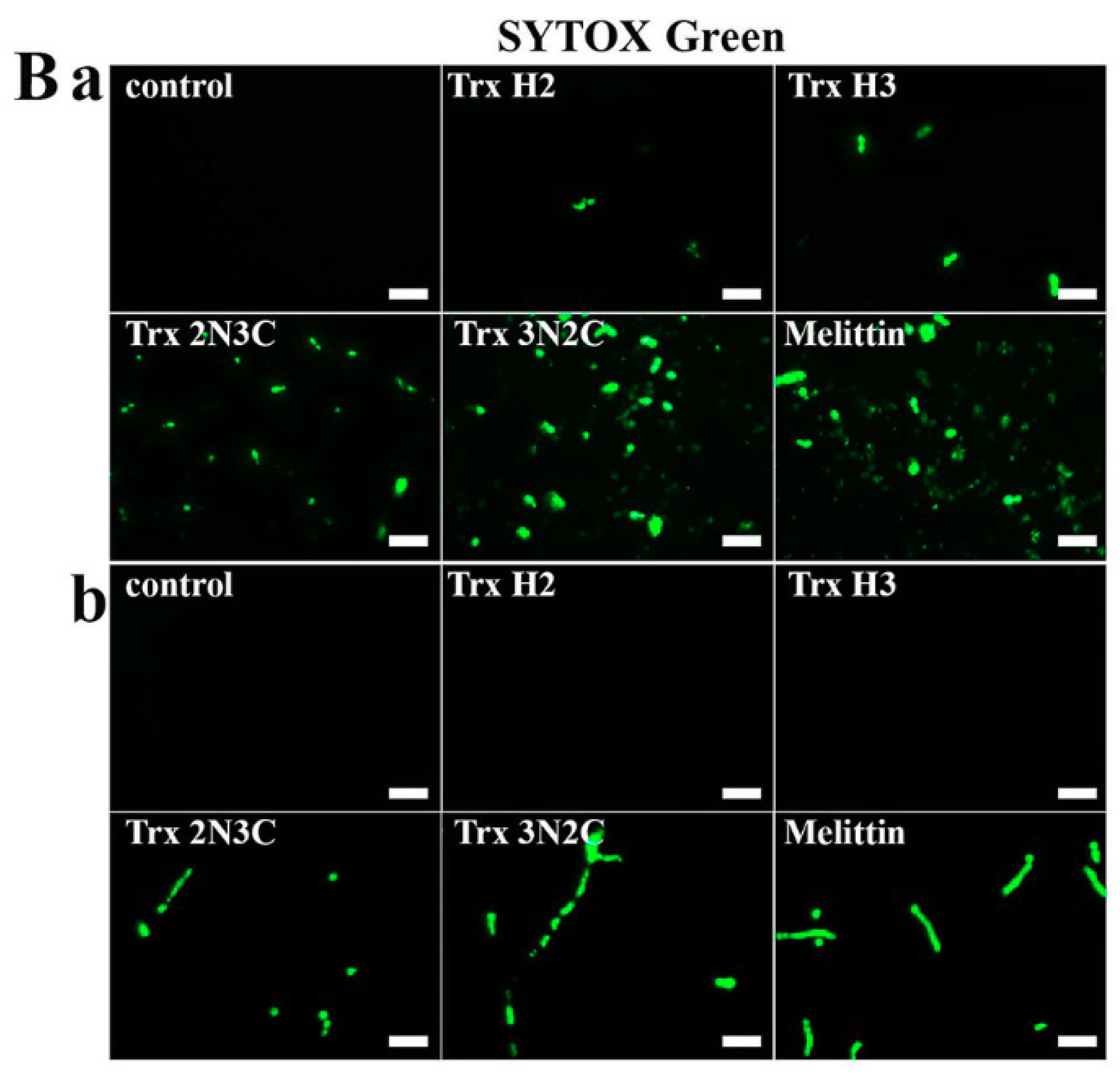 Applsci 09 04766 g004b Applsci 09 04766 g004b