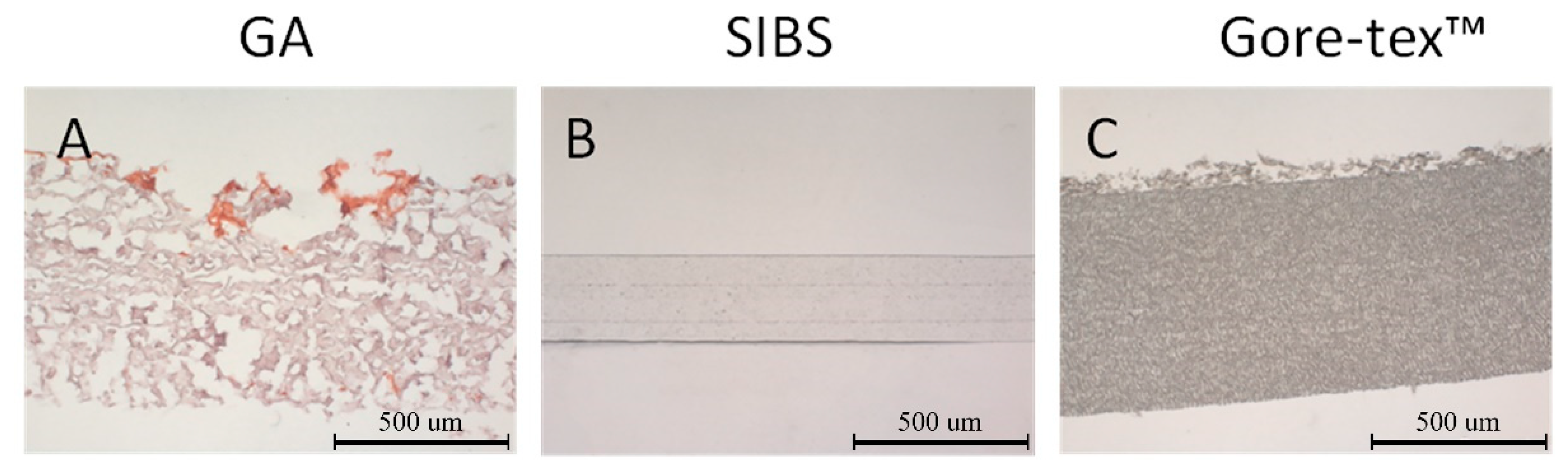 Applsci 09 04773 g006
