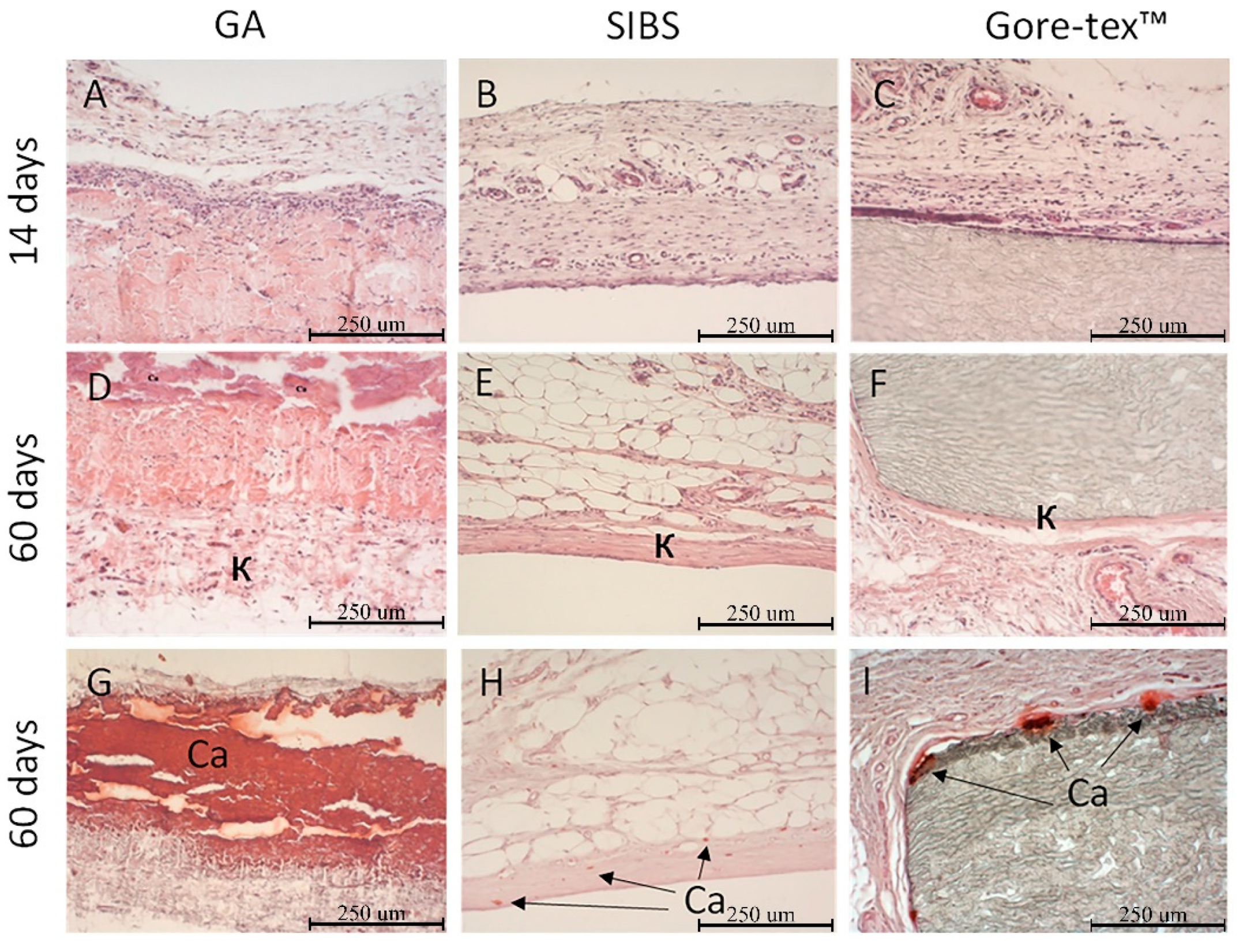 Applsci 09 04773 g007