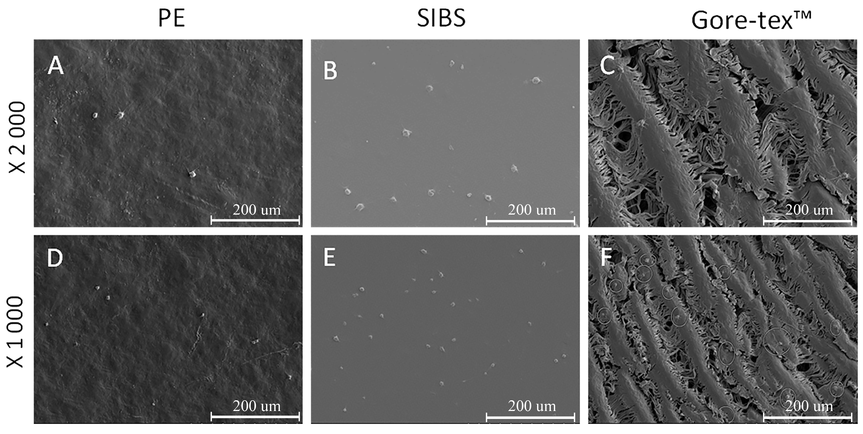 Applsci 09 04773 g008