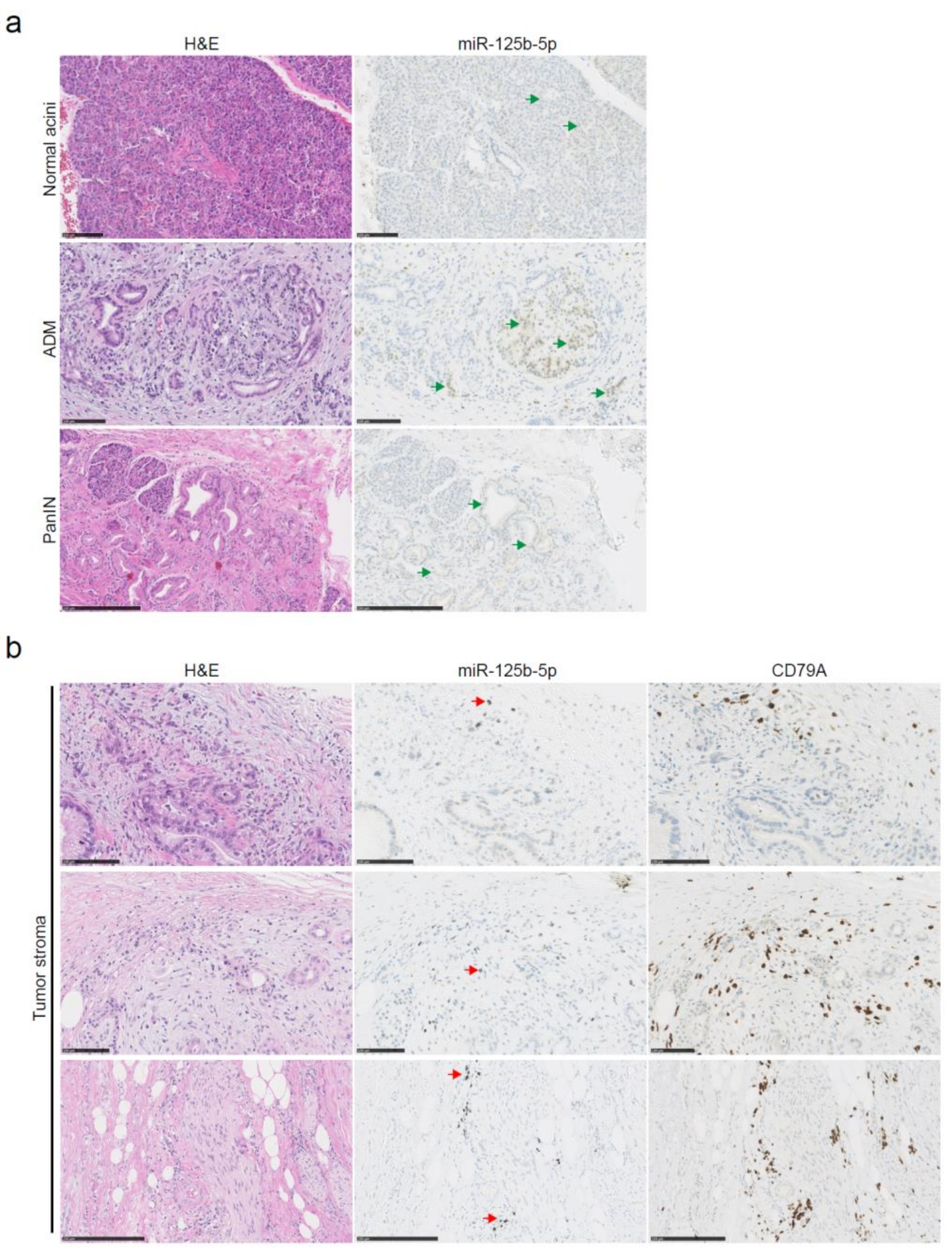 Applsci 09 04784 g003 Applsci 09 04784 g003