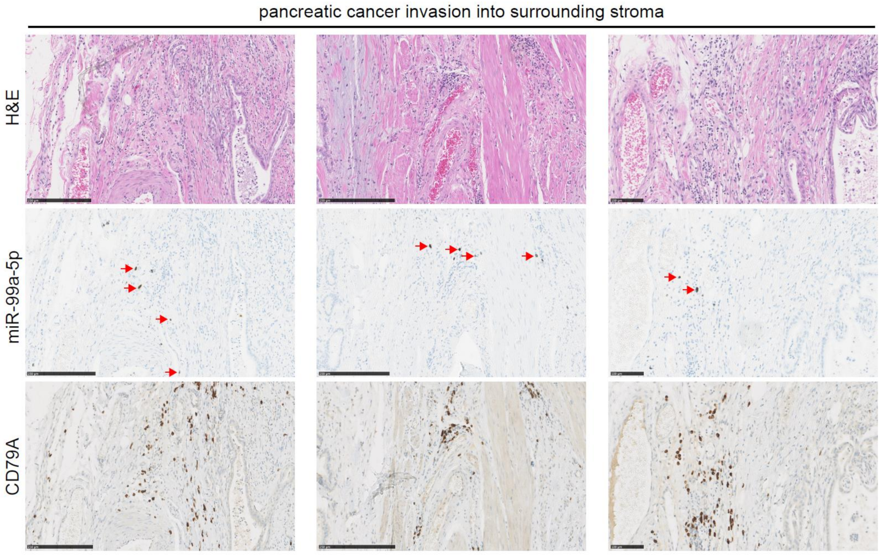 Applsci 09 04784 g004 Applsci 09 04784 g004