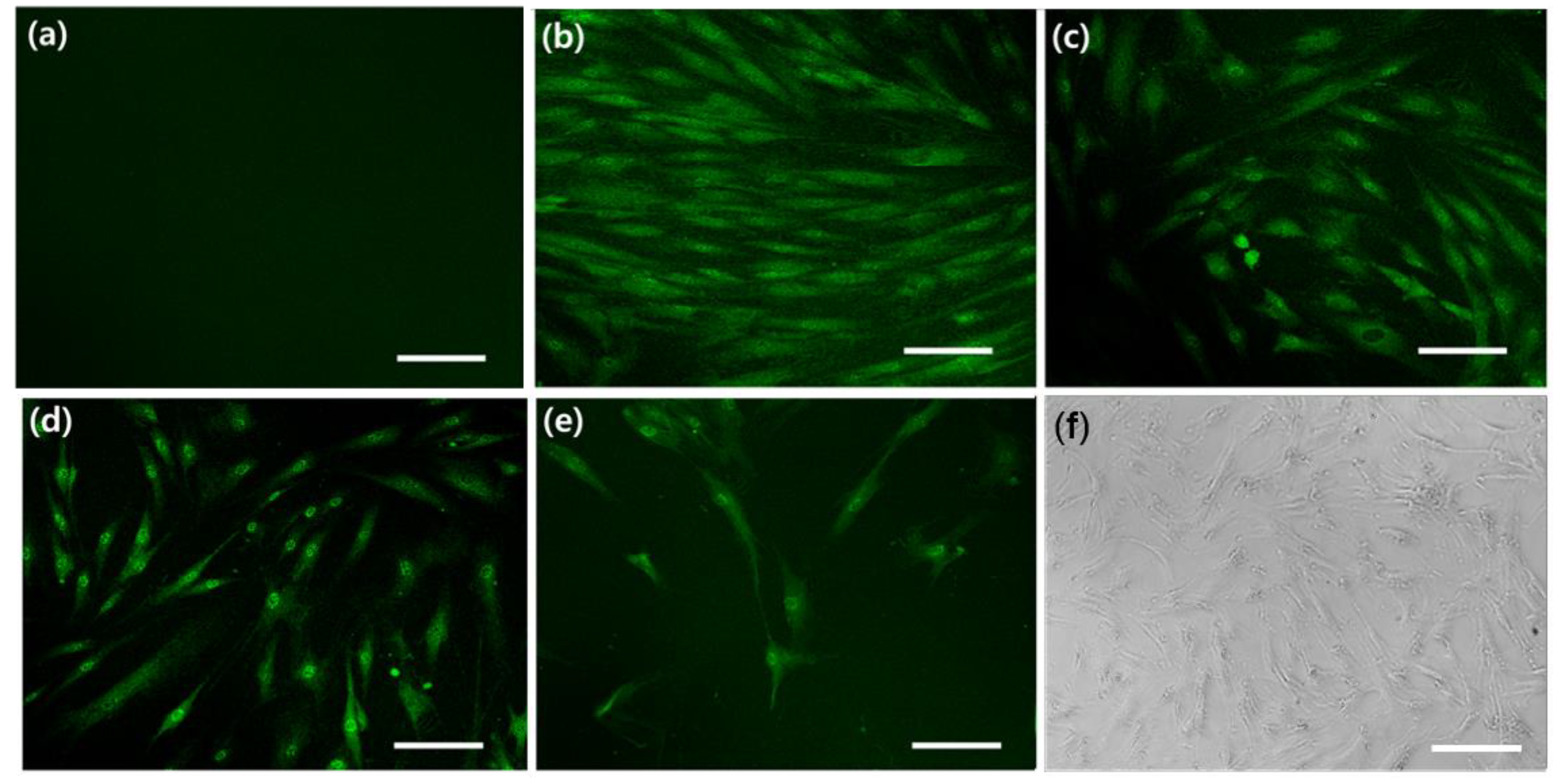Applsci 09 04819 g004 Applsci 09 04819 g004