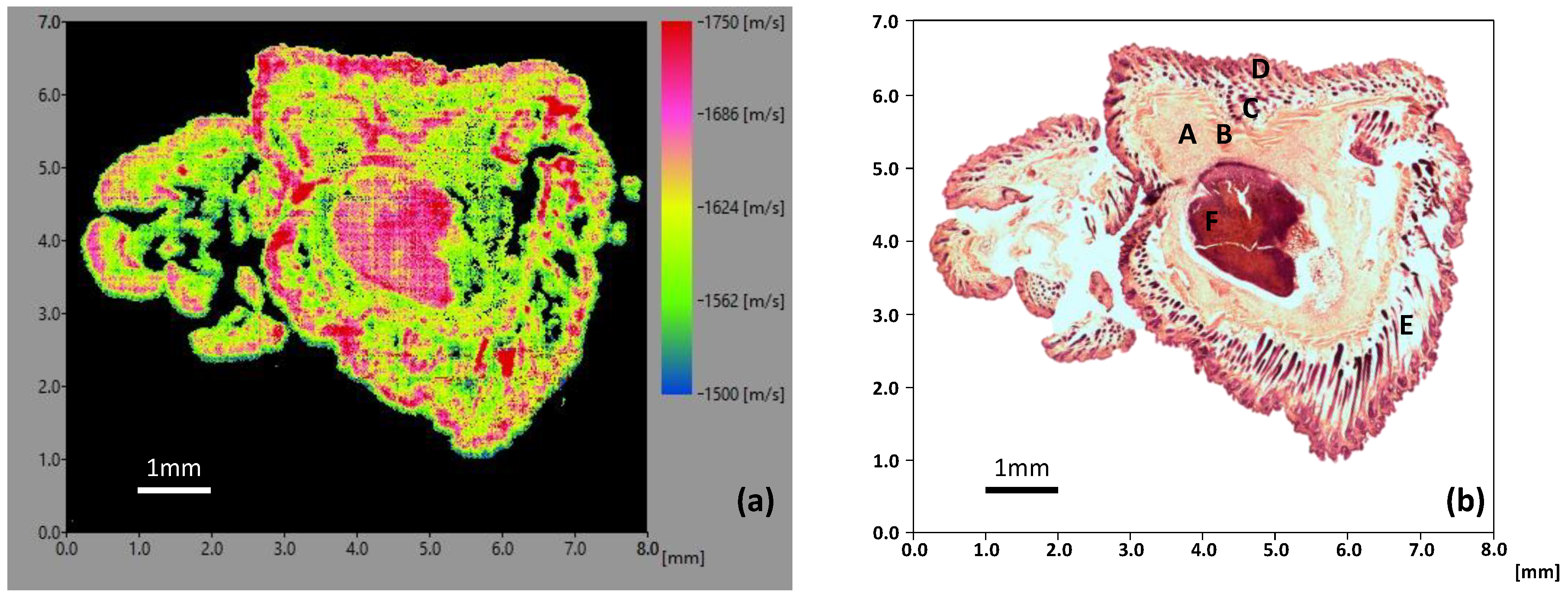 Applsci 09 04883 g006