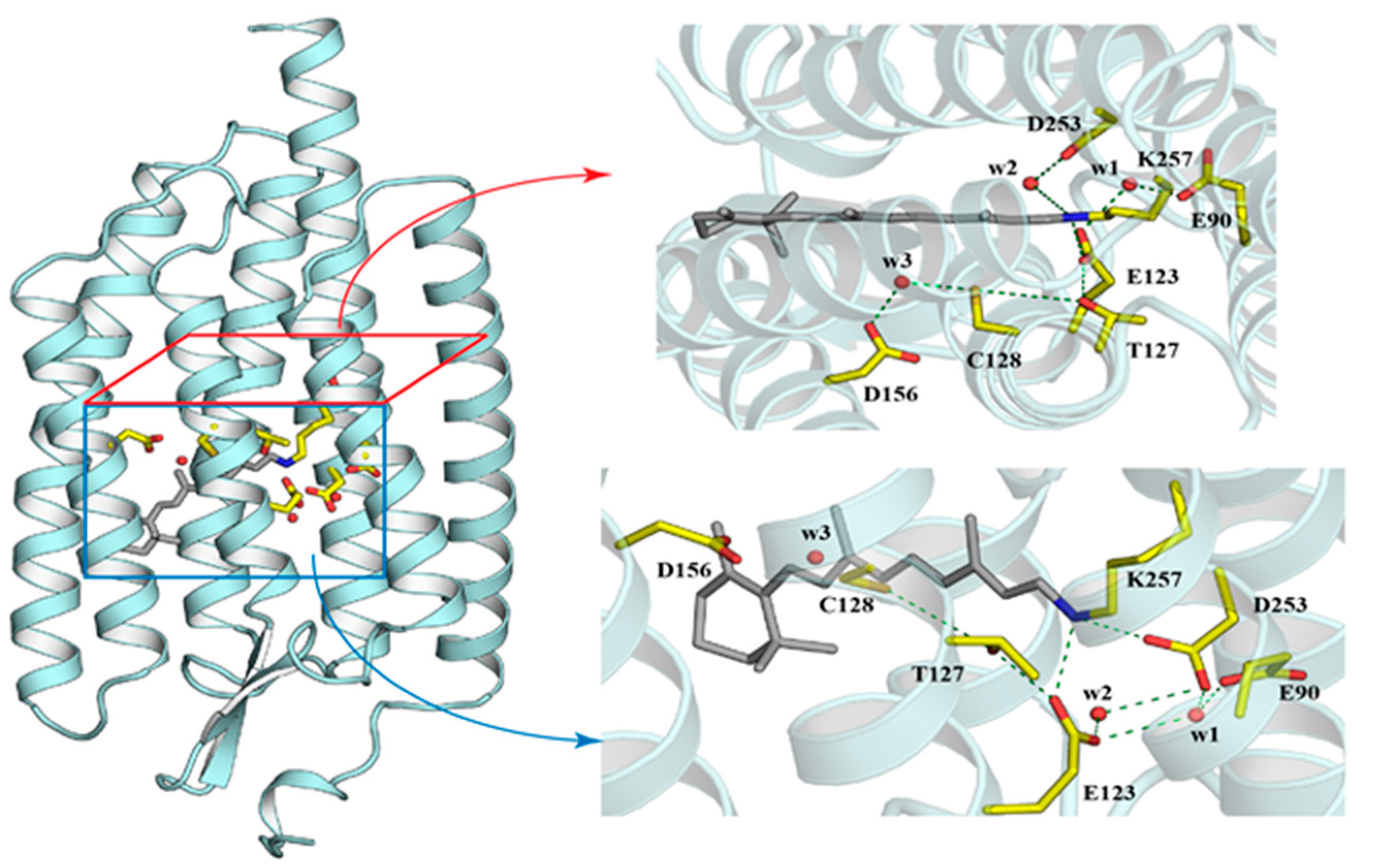 Applsci 09 04905 g001 Applsci 09 04905 g001