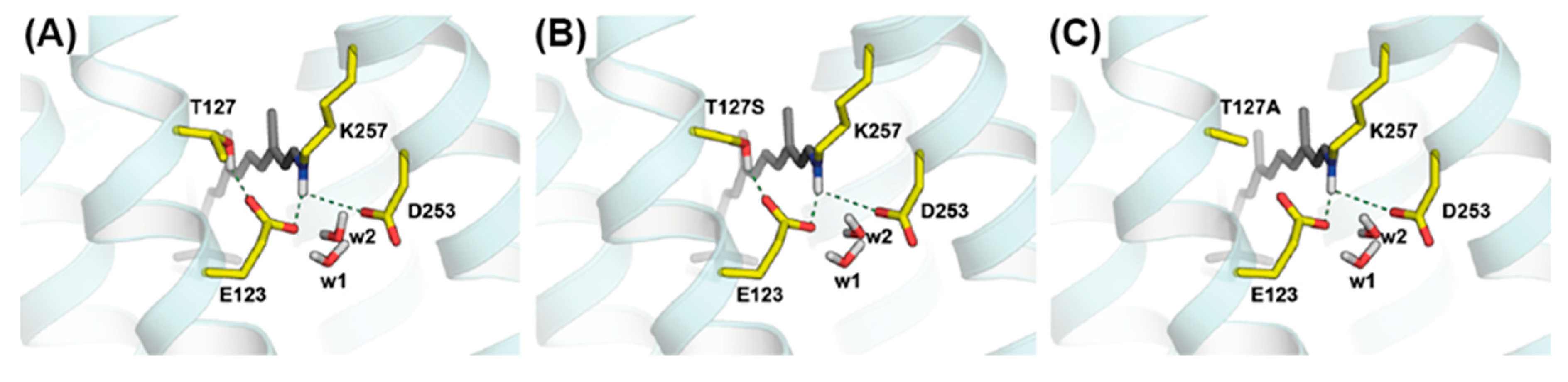 Applsci 09 04905 g002 Applsci 09 04905 g002