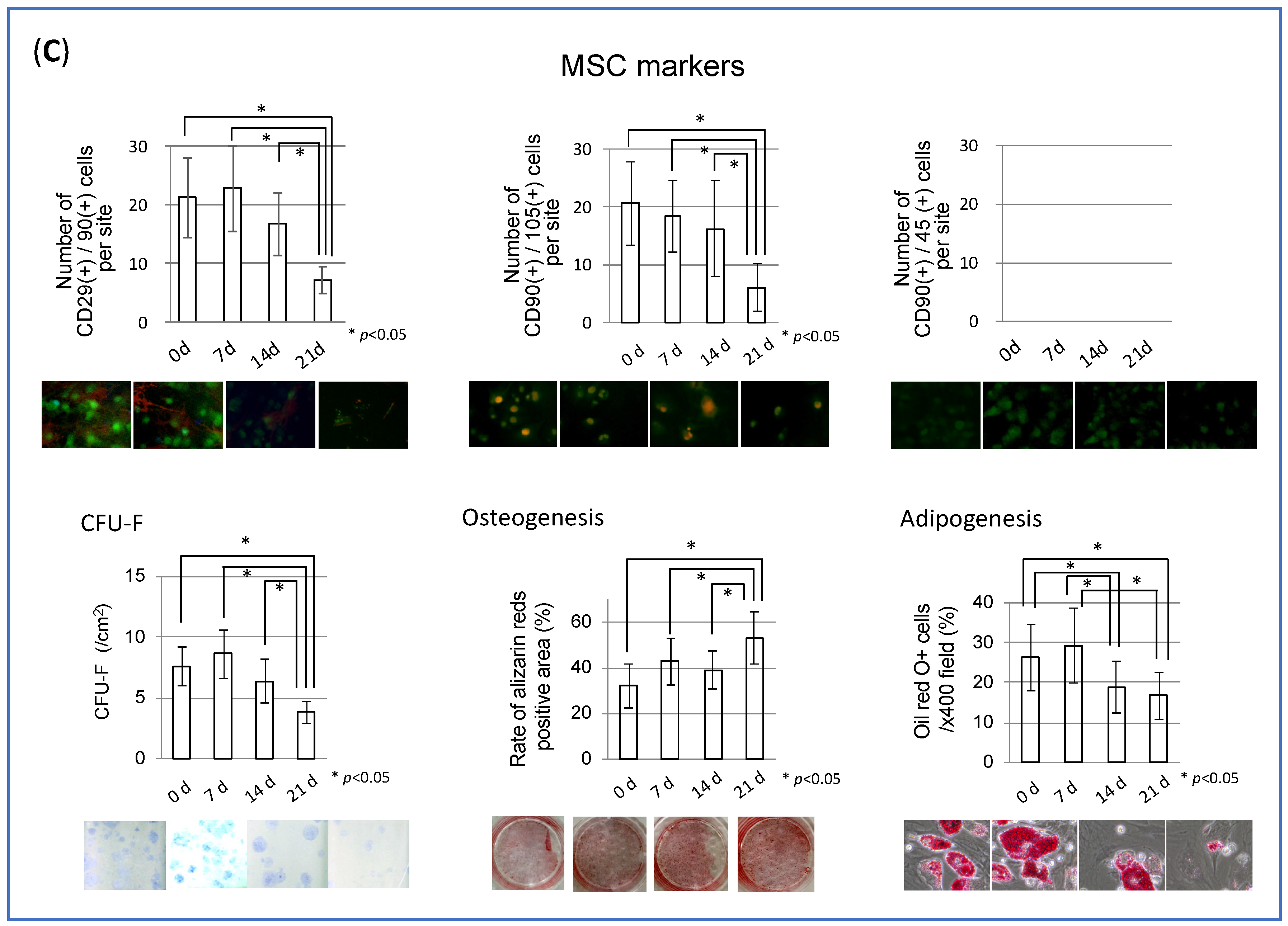 Applsci 09 04908 g001b Applsci 09 04908 g001b