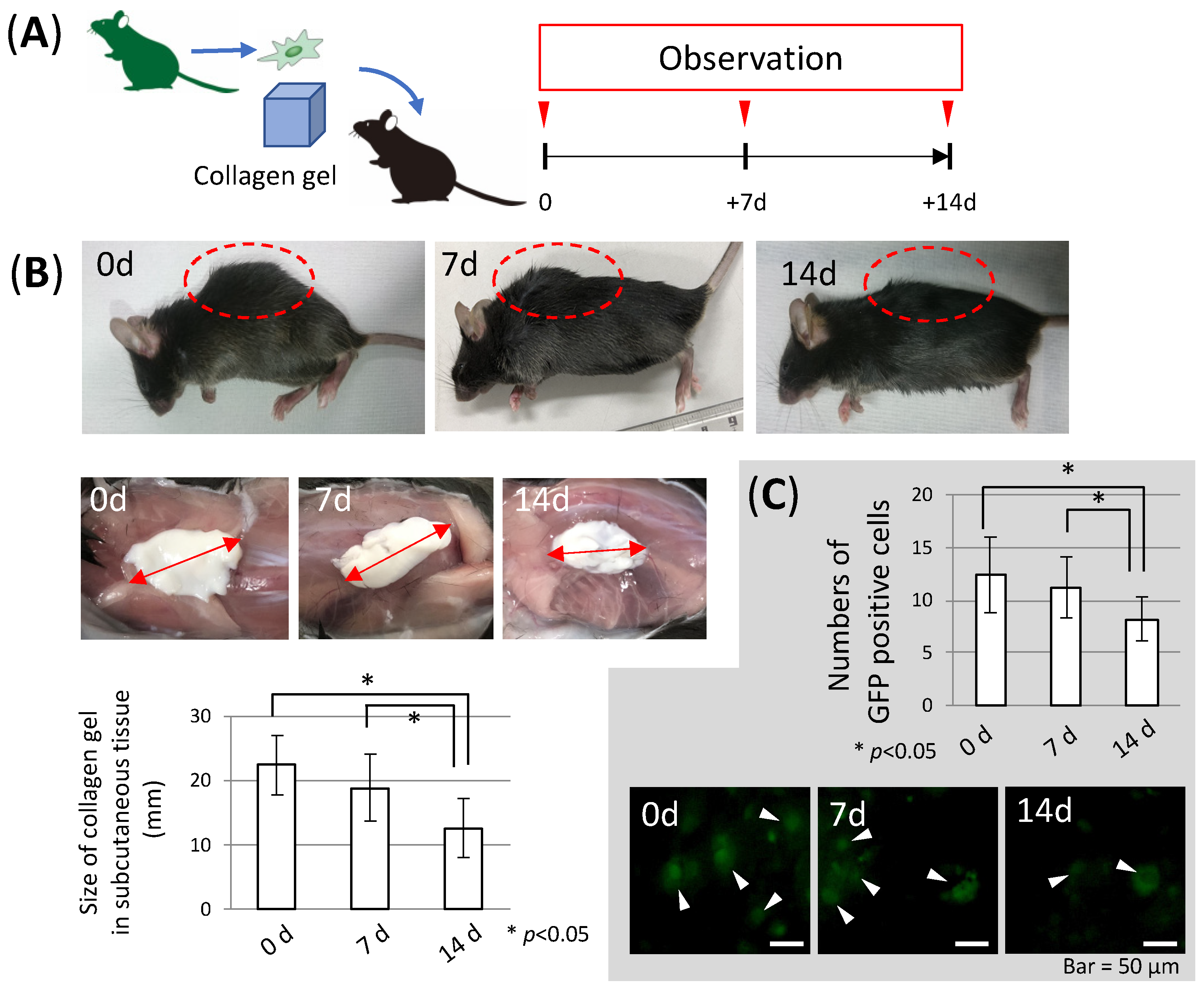 Applsci 09 04908 g002 Applsci 09 04908 g002