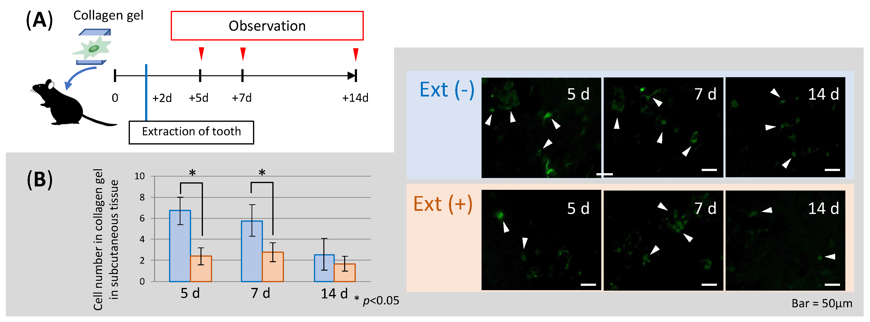 Applsci 09 04908 g003 Applsci 09 04908 g003