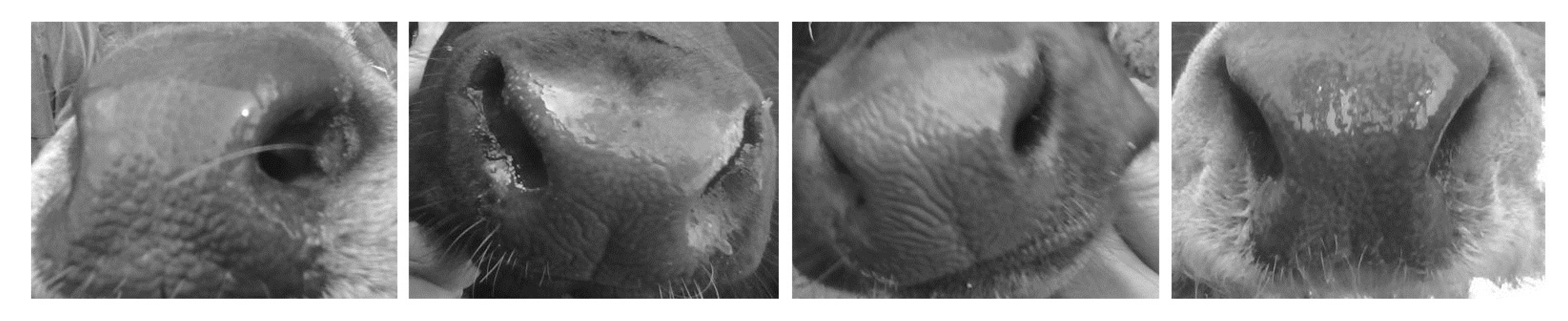 Applsci 09 04914 g003