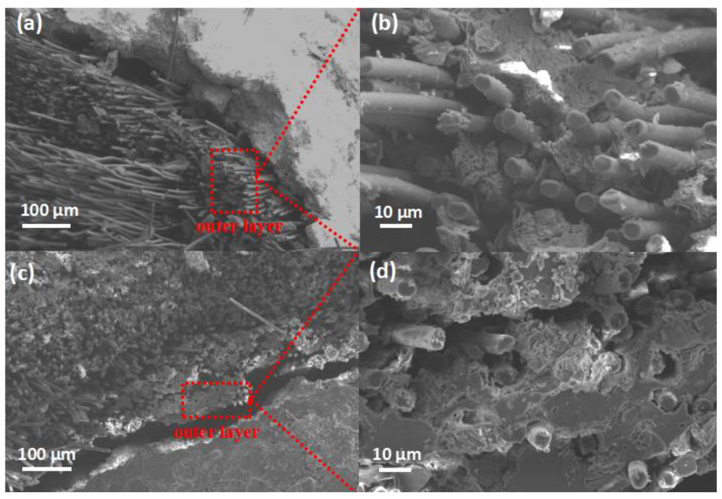 Applsci 09 04945 g005