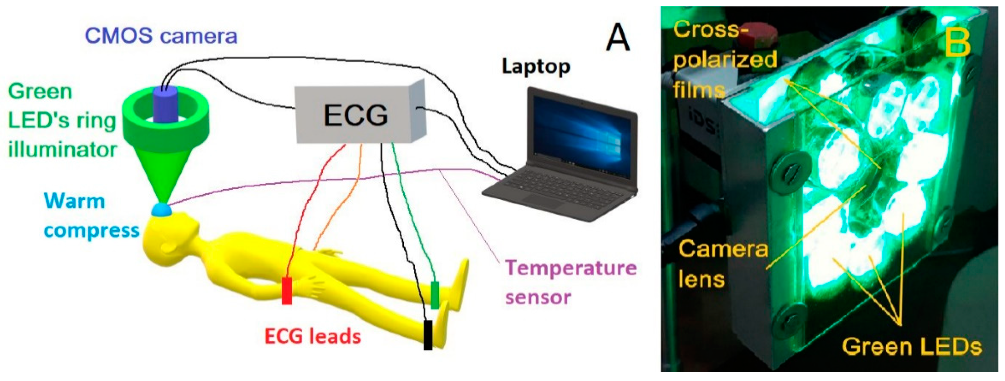 Applsci 09 04947 g001 550