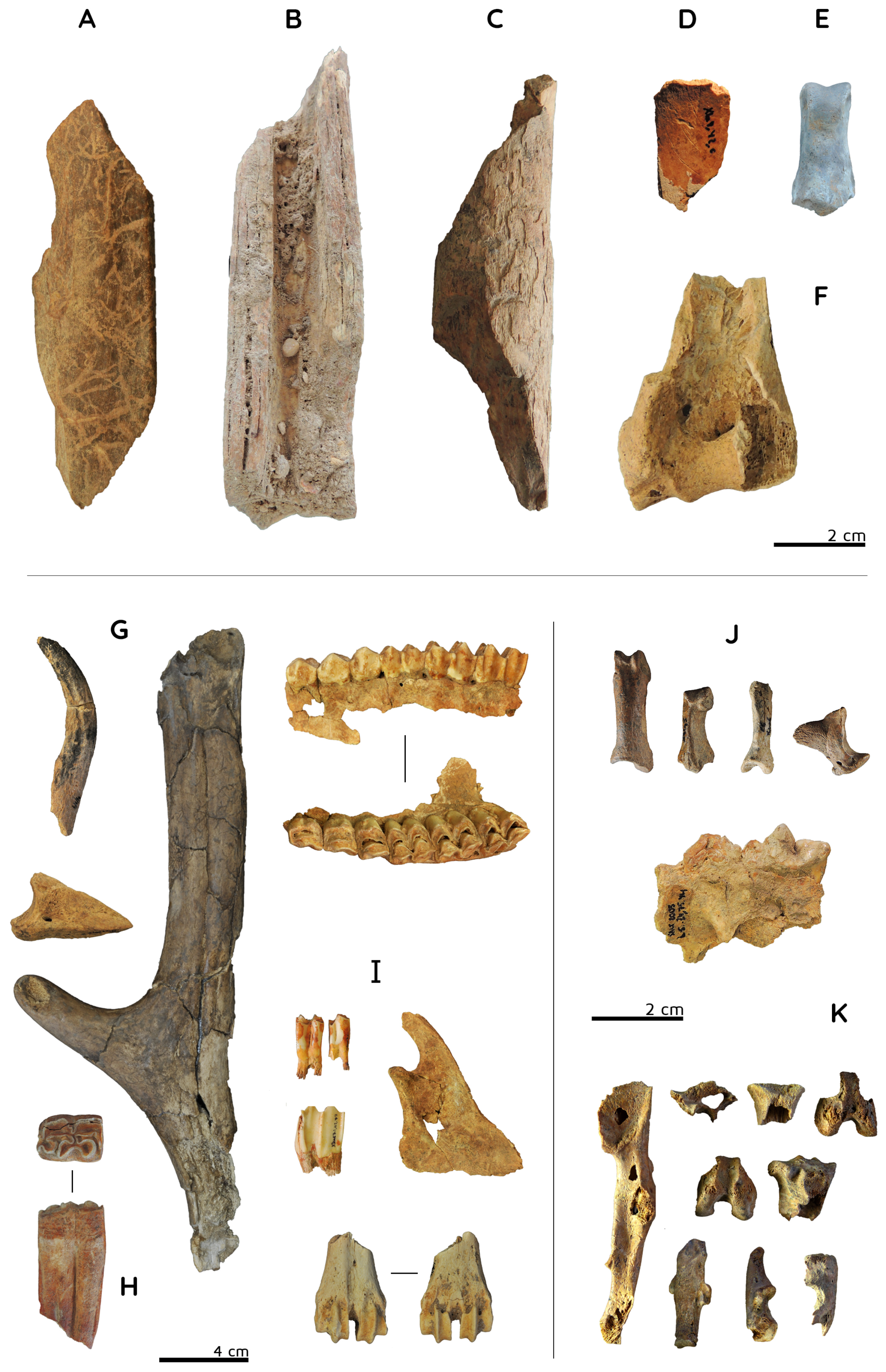 Applsci 09 04960 g002 550