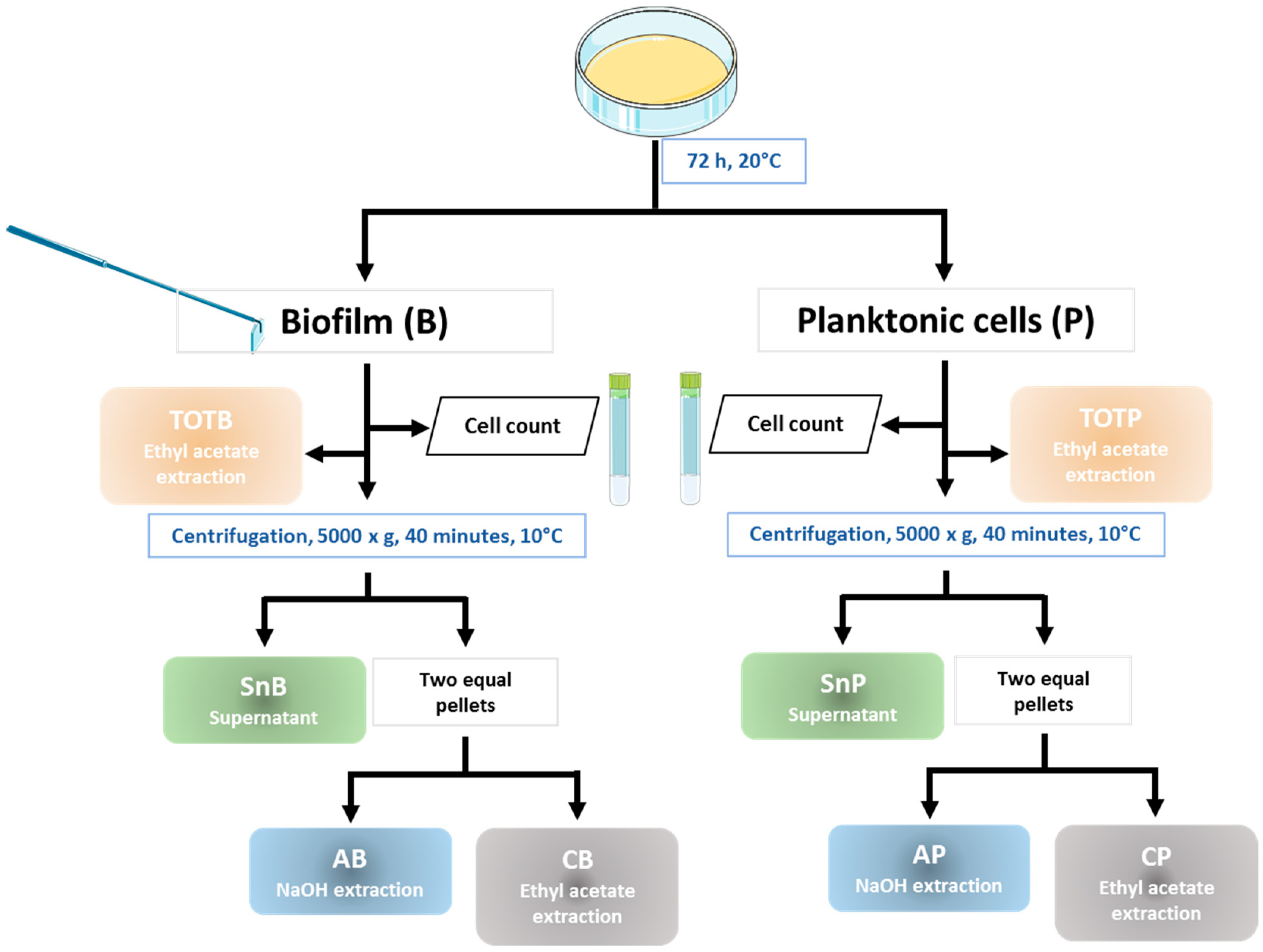 Applsci 09 04971 g001