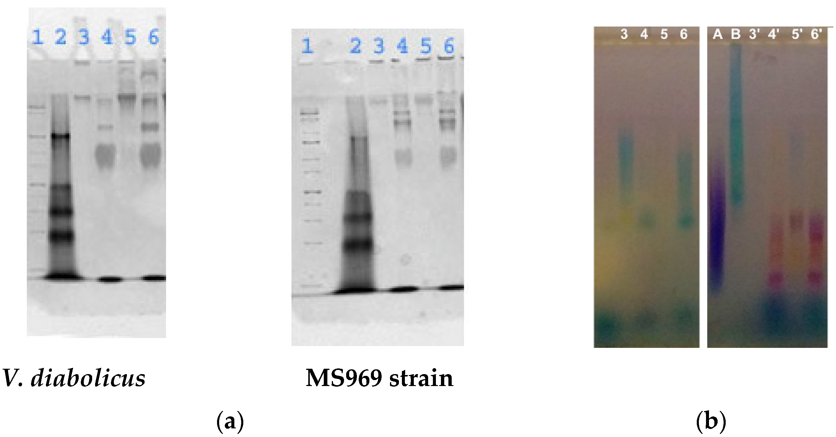 Applsci 09 04971 g006