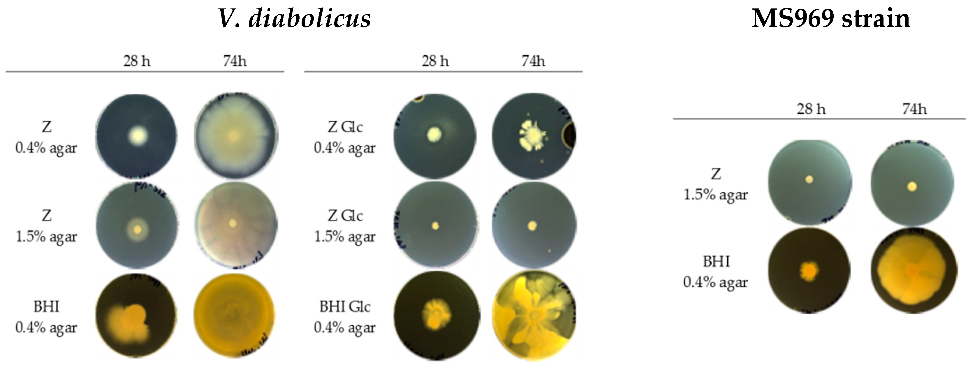 Applsci 09 04971 g009