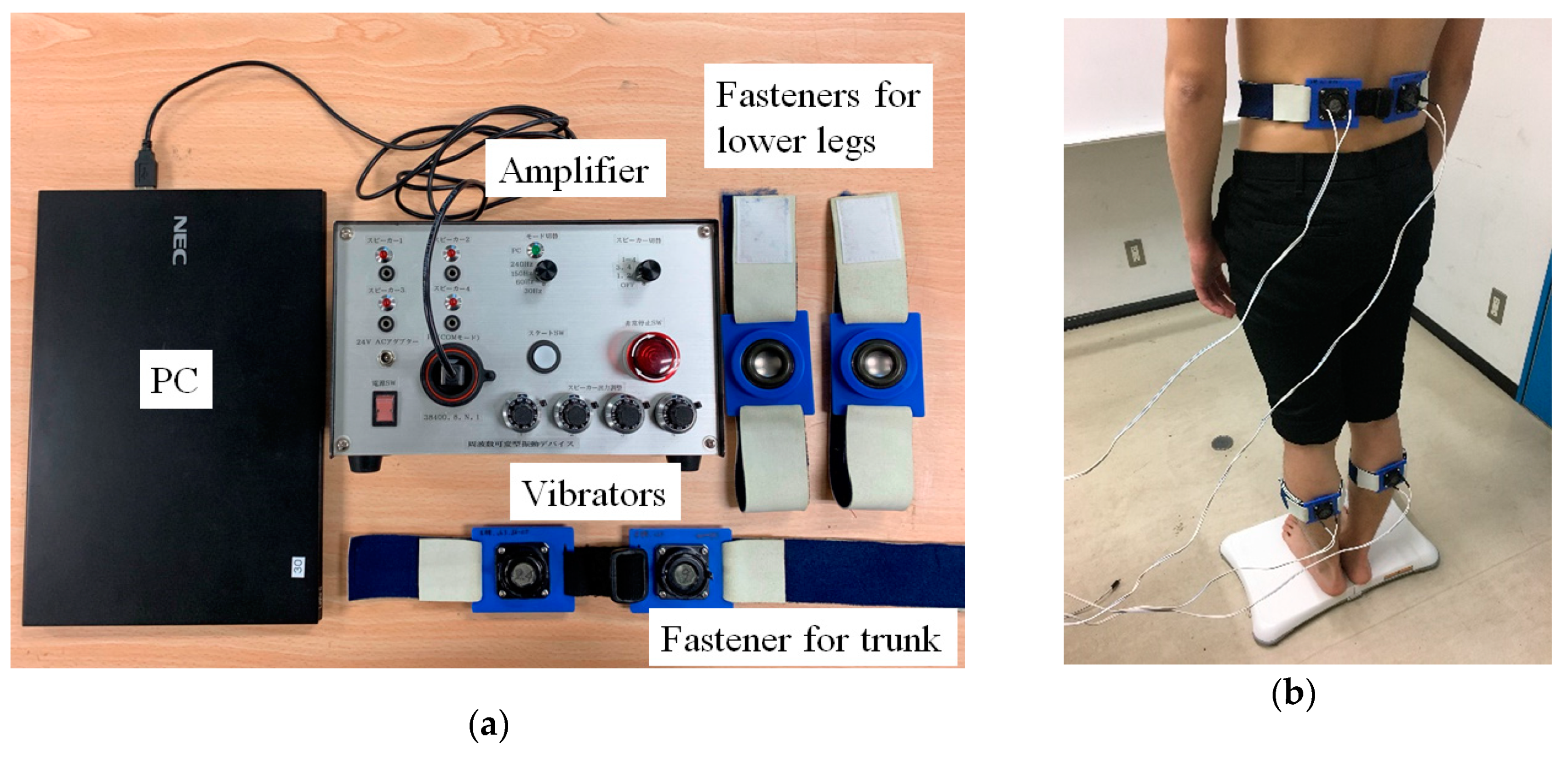 Applsci 09 04988 g001 Applsci 09 04988 g001