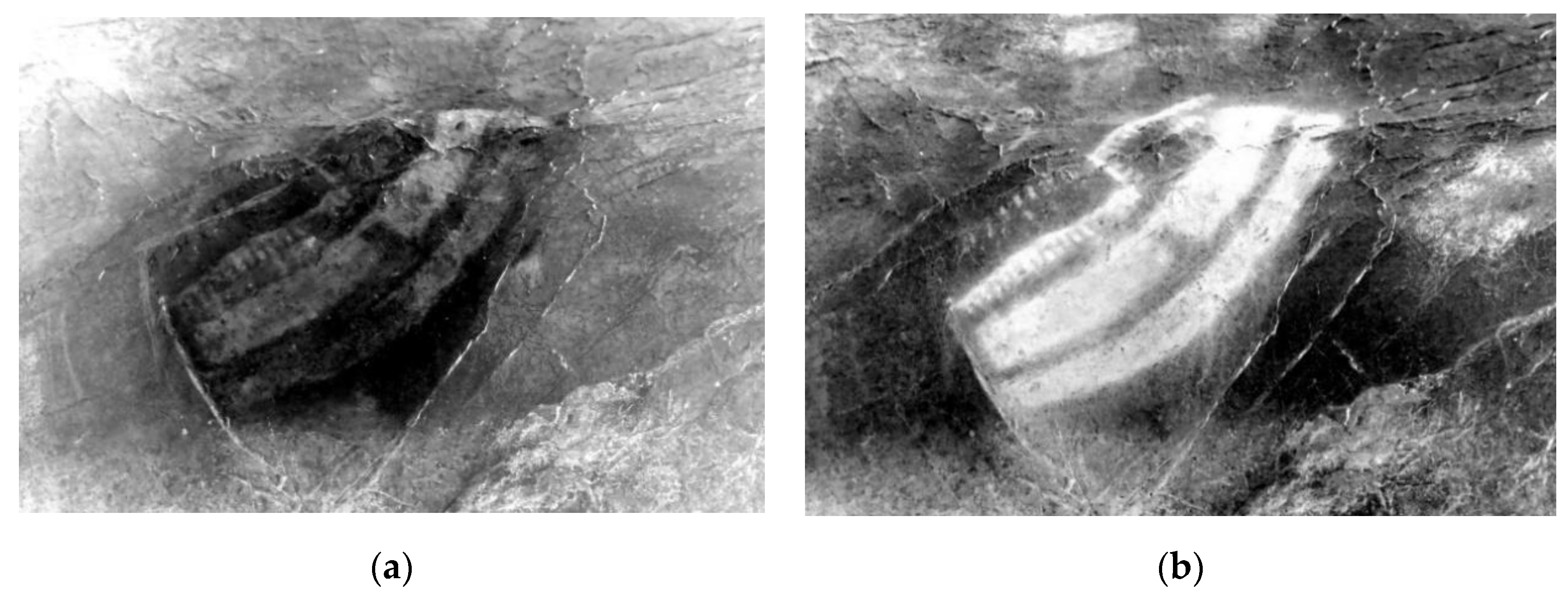 Applsci 09 05011 g013