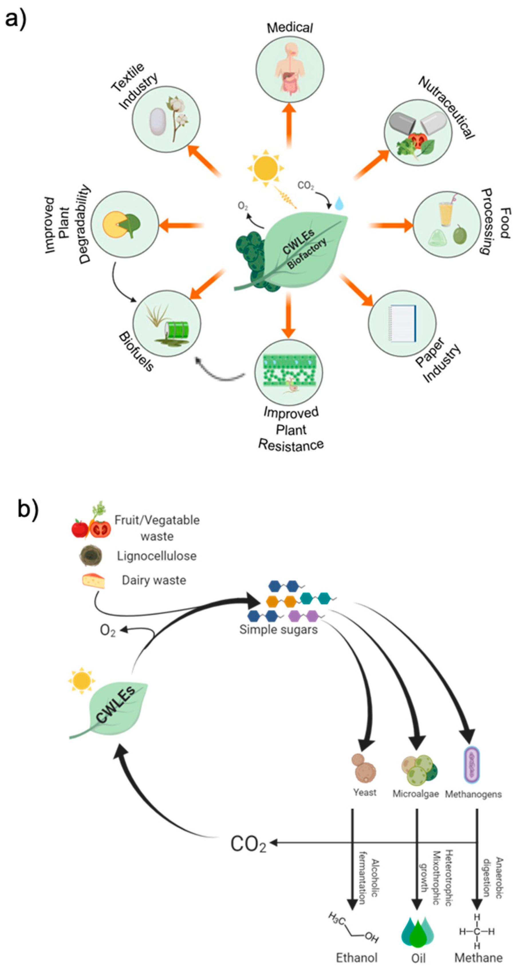 Applsci 09 05012 g004