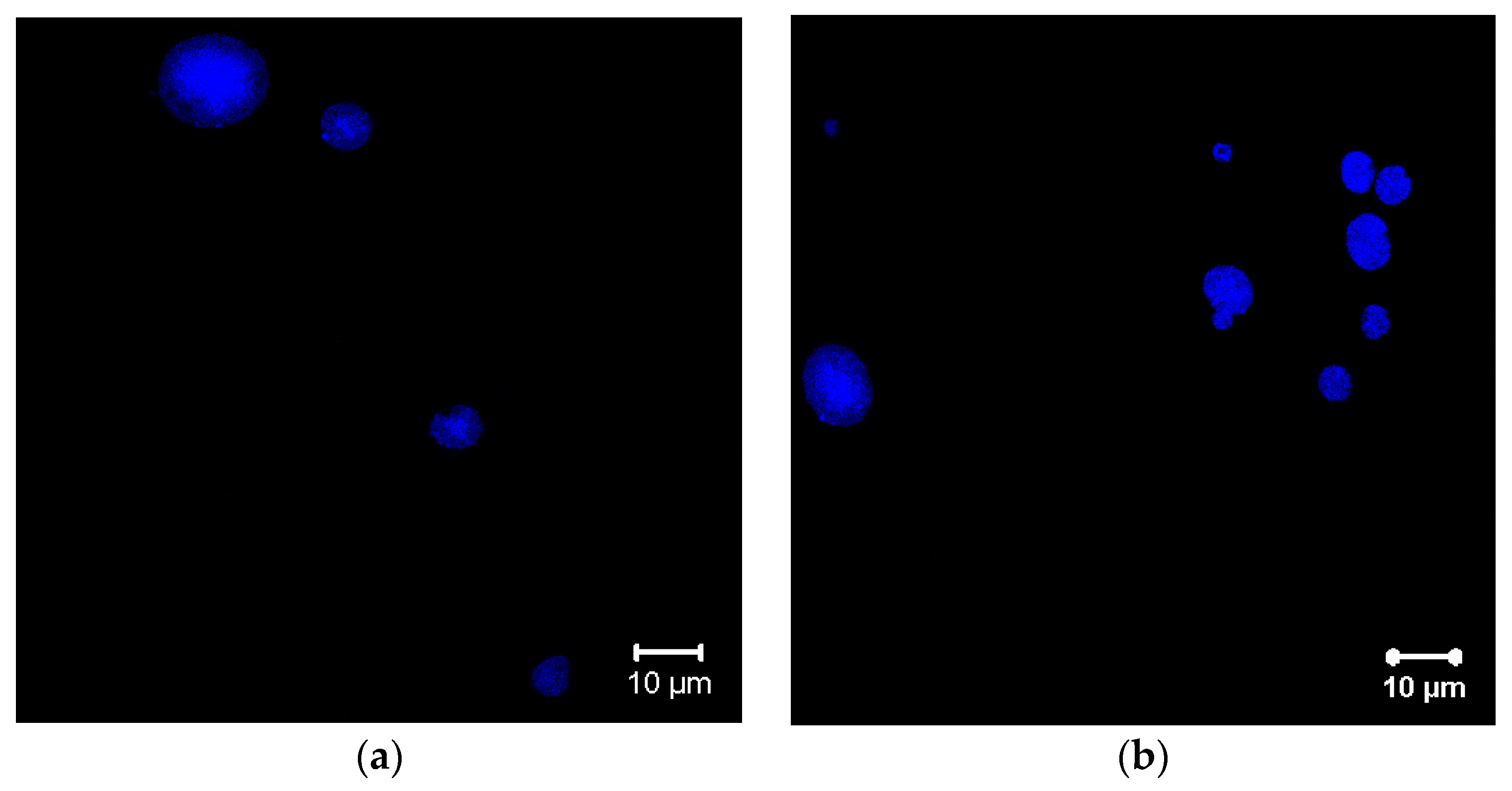 Applsci 09 05041 g007a Applsci 09 05041 g007a
