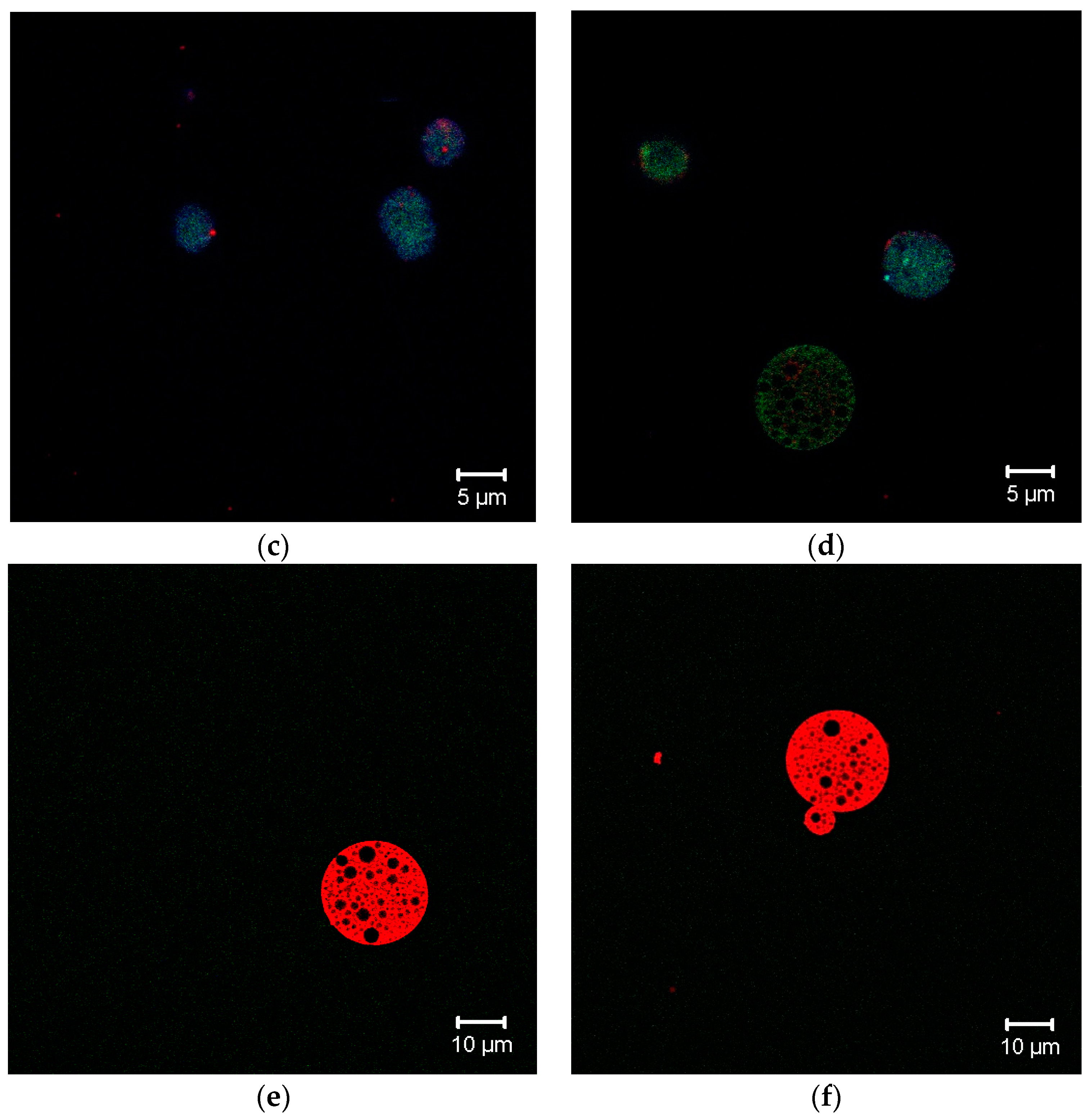 Applsci 09 05041 g007b Applsci 09 05041 g007b