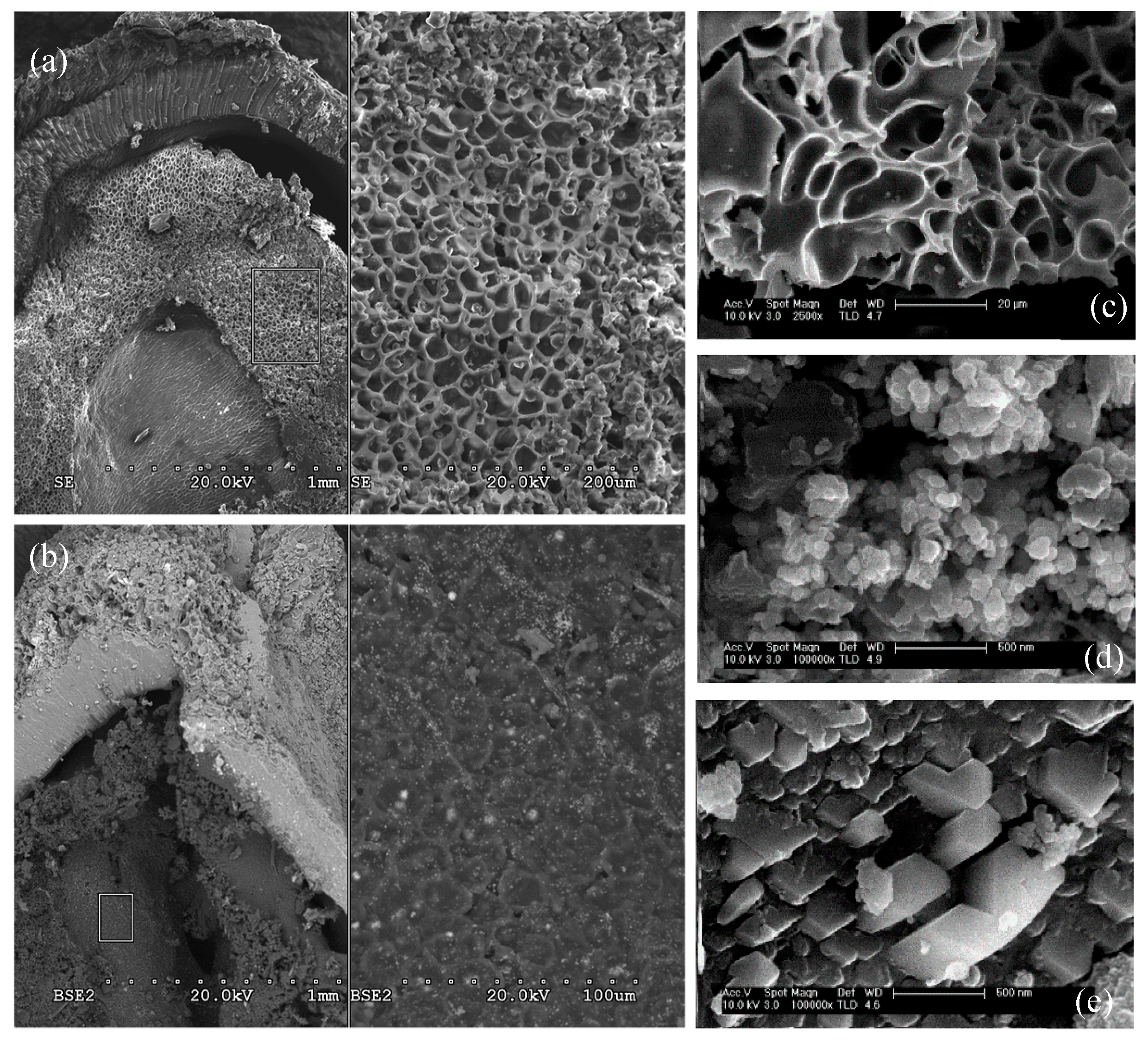 Applsci 09 05127 g003 Applsci 09 05127 g003