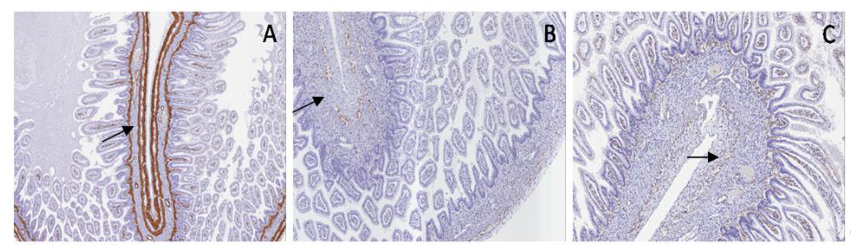 Applsci 09 05155 g006 550