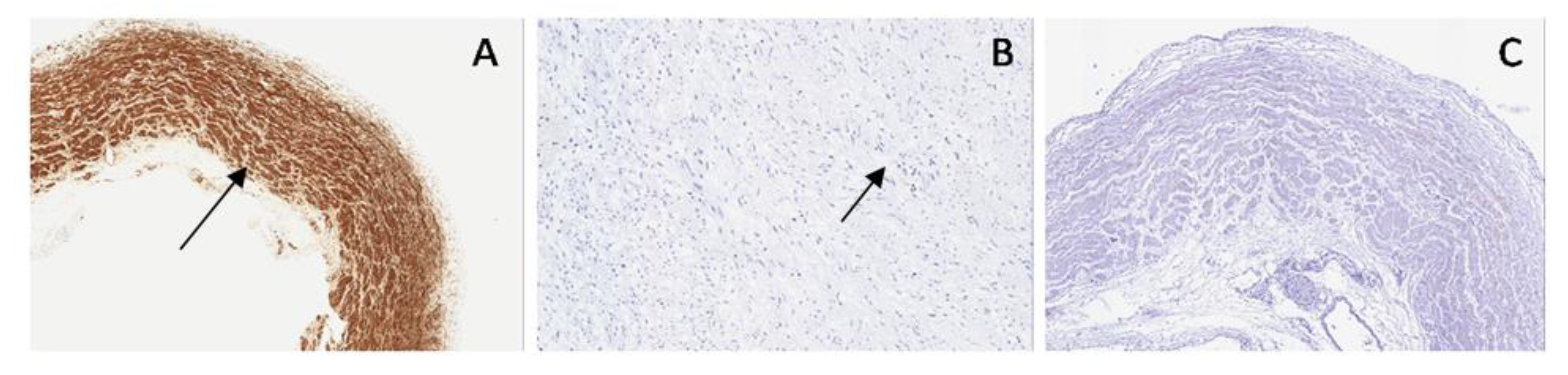 Applsci 09 05155 g007 550