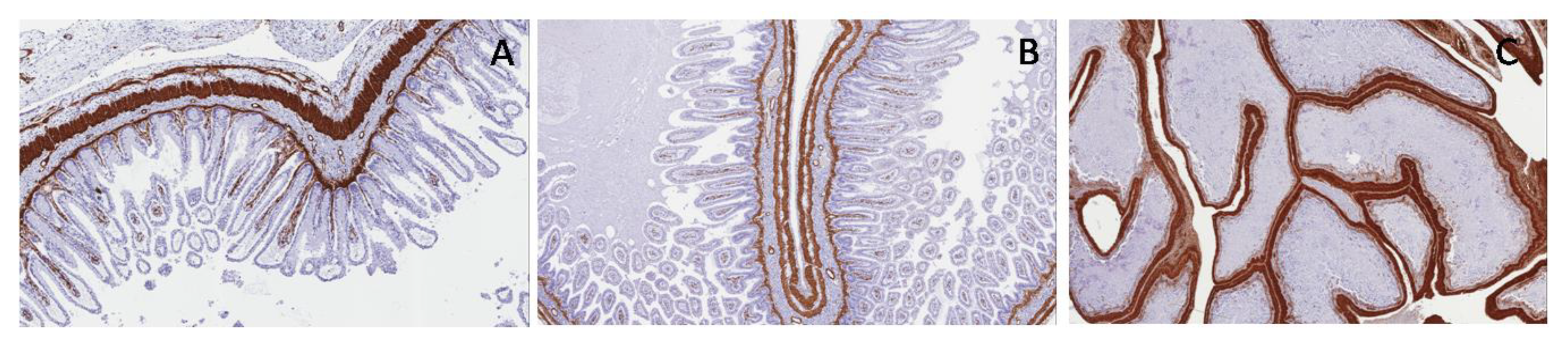 Applsci 09 05155 g012 550