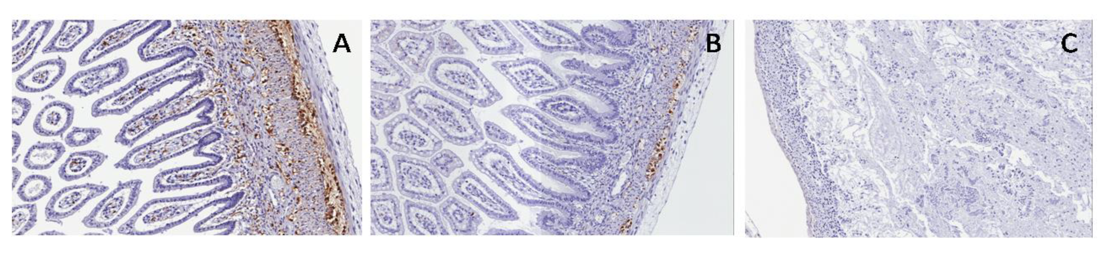 Applsci 09 05155 g013 550