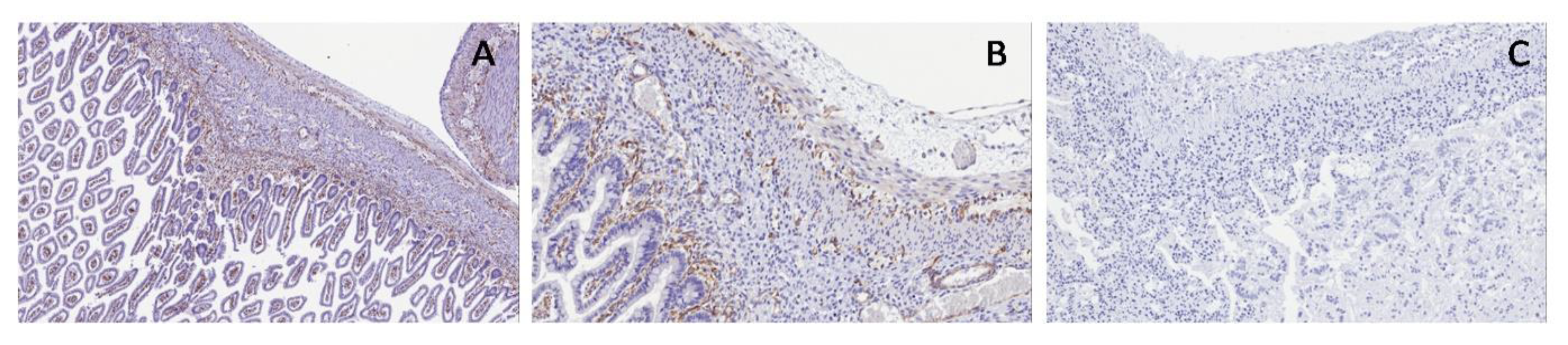 Applsci 09 05155 g014 550